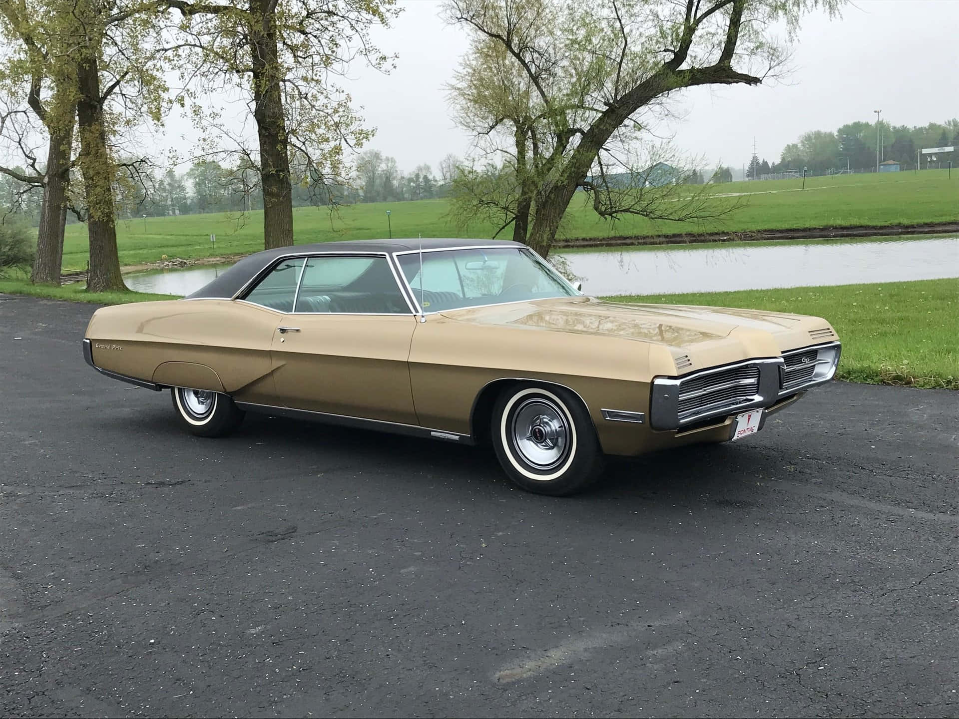Pontiac Grand Prix, gold, black, Full HD Desktop Wallpaper