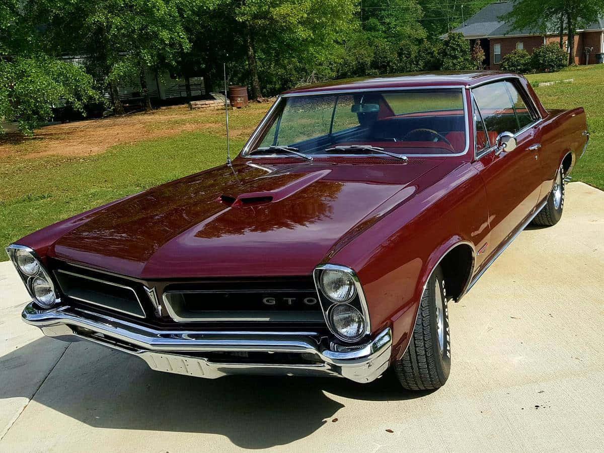 Pontiac GTO, 1960s, glossy maroon, SD Desktop Wallpaper
