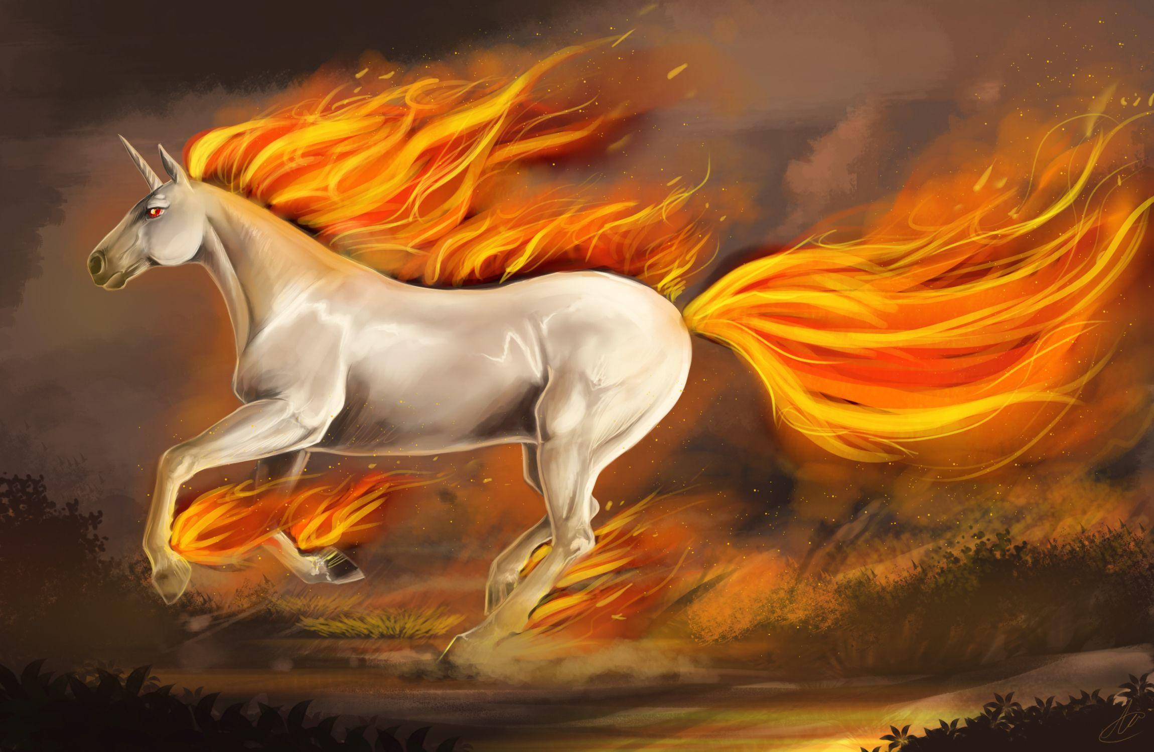 Ponyta, fiery mane, fiery tail, Full HD Desktop Wallpaper
