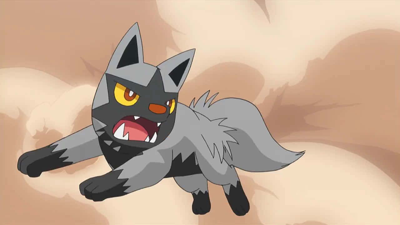 Poochyena, anime, action pose, HD Desktop Wallpaper