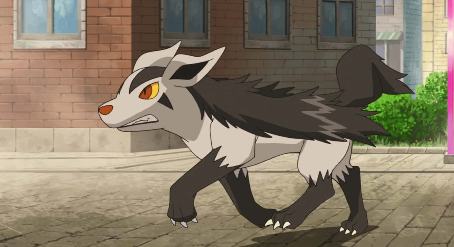 Poochyena, gray and black fox-like Pokémon, yellow eyes, HD Desktop Wallpaper