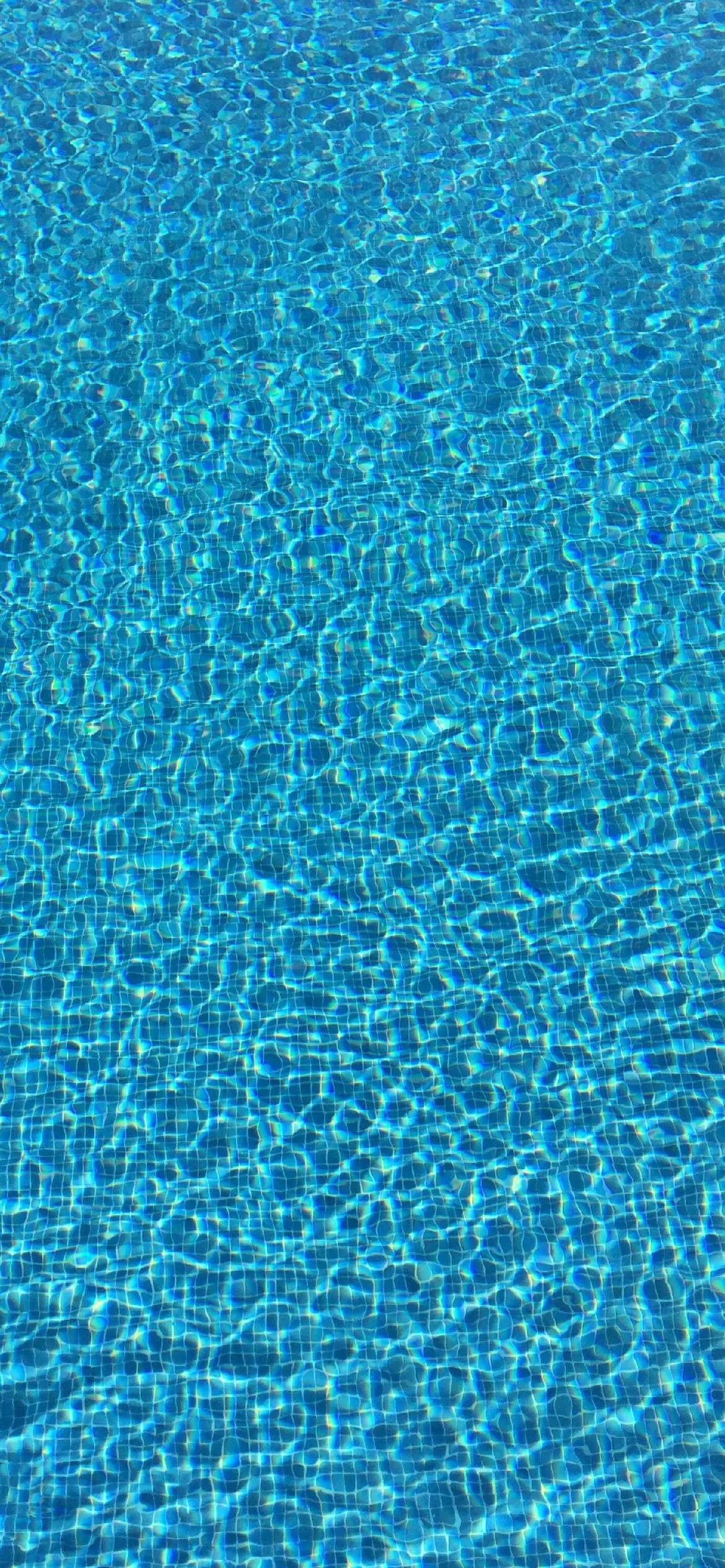 light blue phone pool tiles, turquoise pool water, sunlight, Full HD Phone Wallpaper