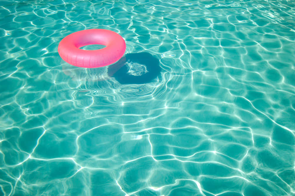 pink ring floater, turquoise pool water, bright sunlight, SD Desktop Wallpaper