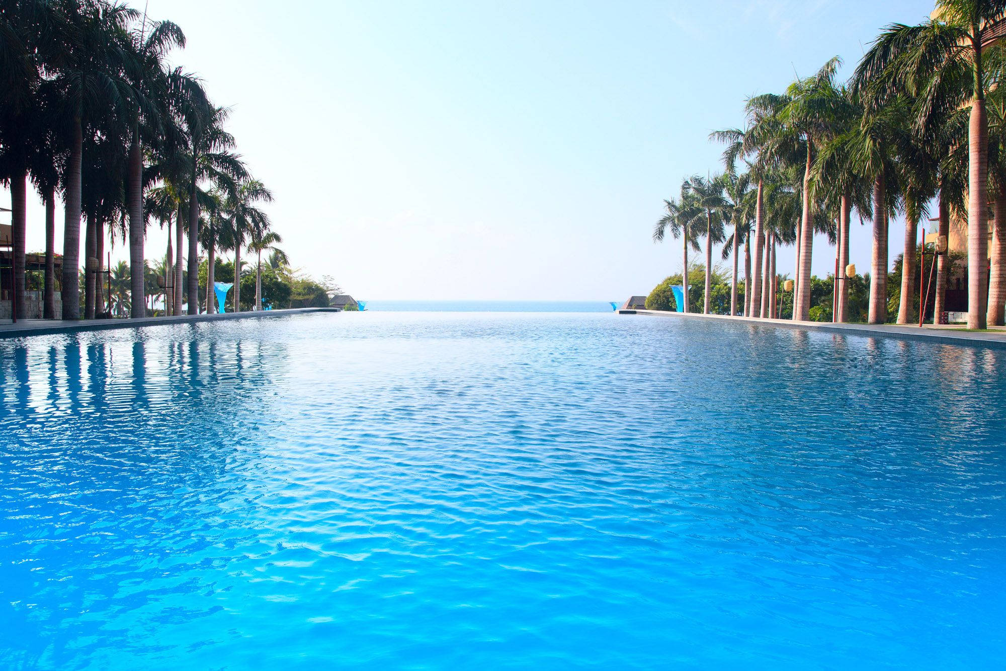 infinity pool, crystal blue water, palm trees, Full HD Desktop Wallpaper