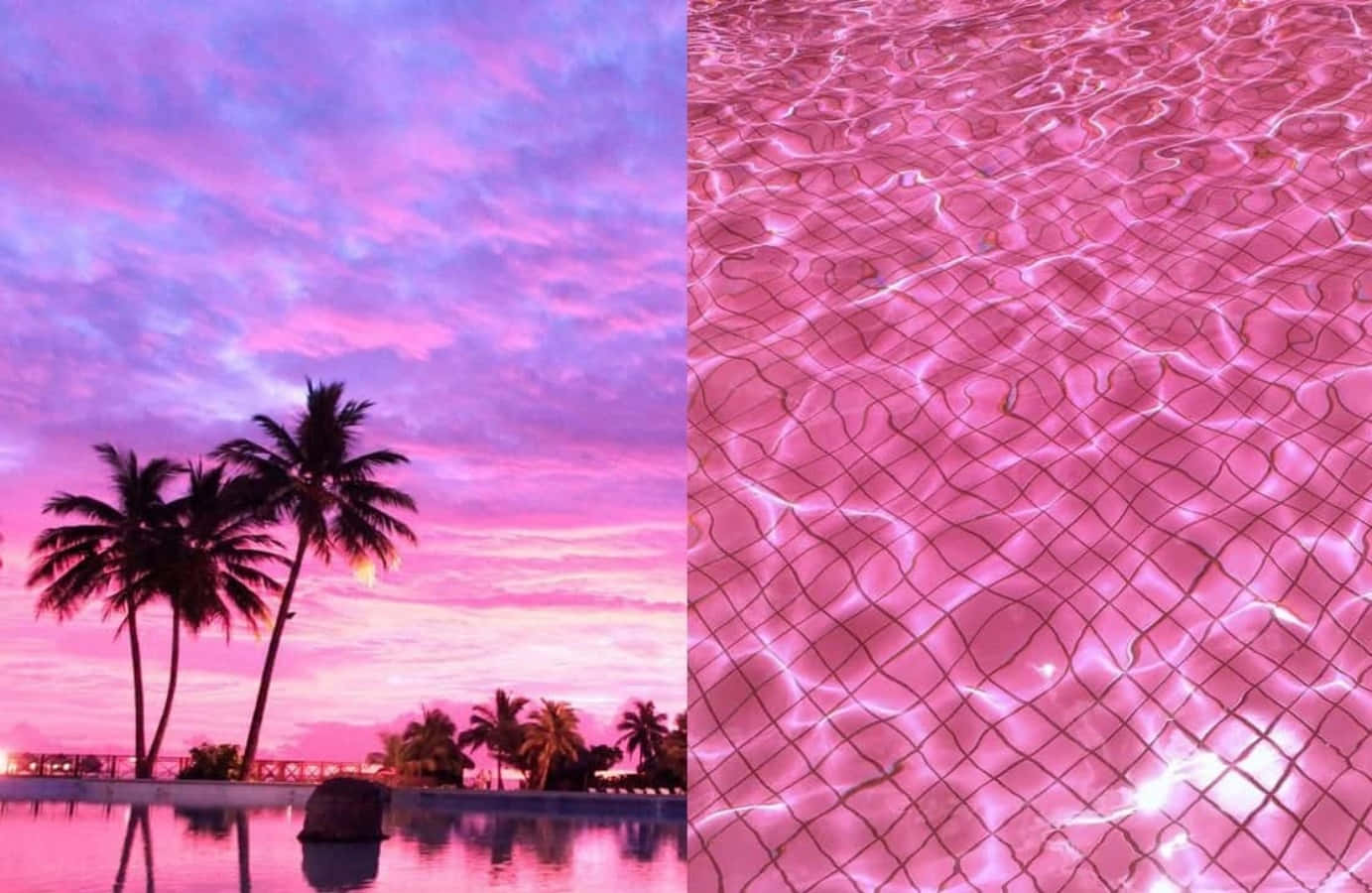 aesthetic pink collage, pink sunset, palm trees, HD Desktop Wallpaper