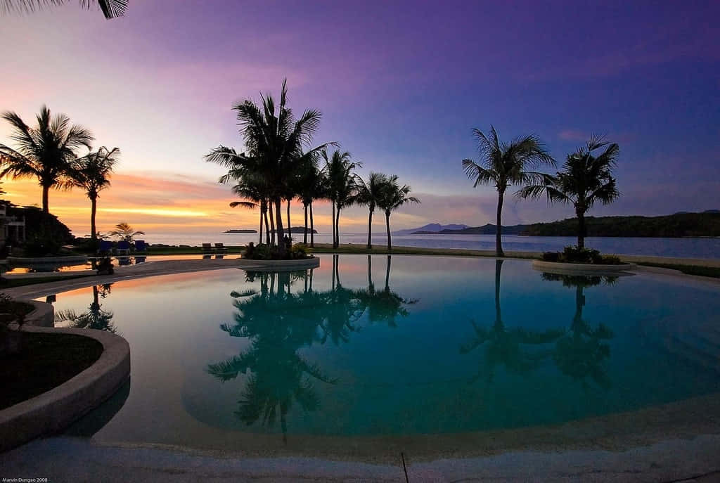 infinity pool, sunset, palm trees, SD Desktop Wallpaper