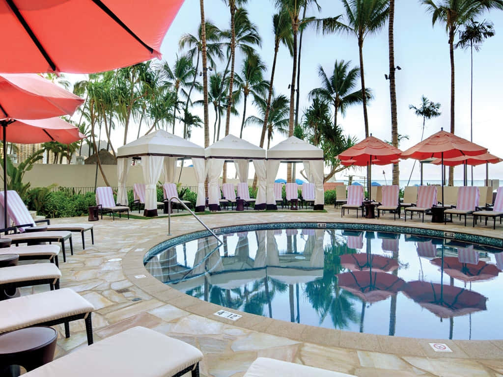 resort pool, palm trees, red umbrellas, SD Desktop Wallpaper