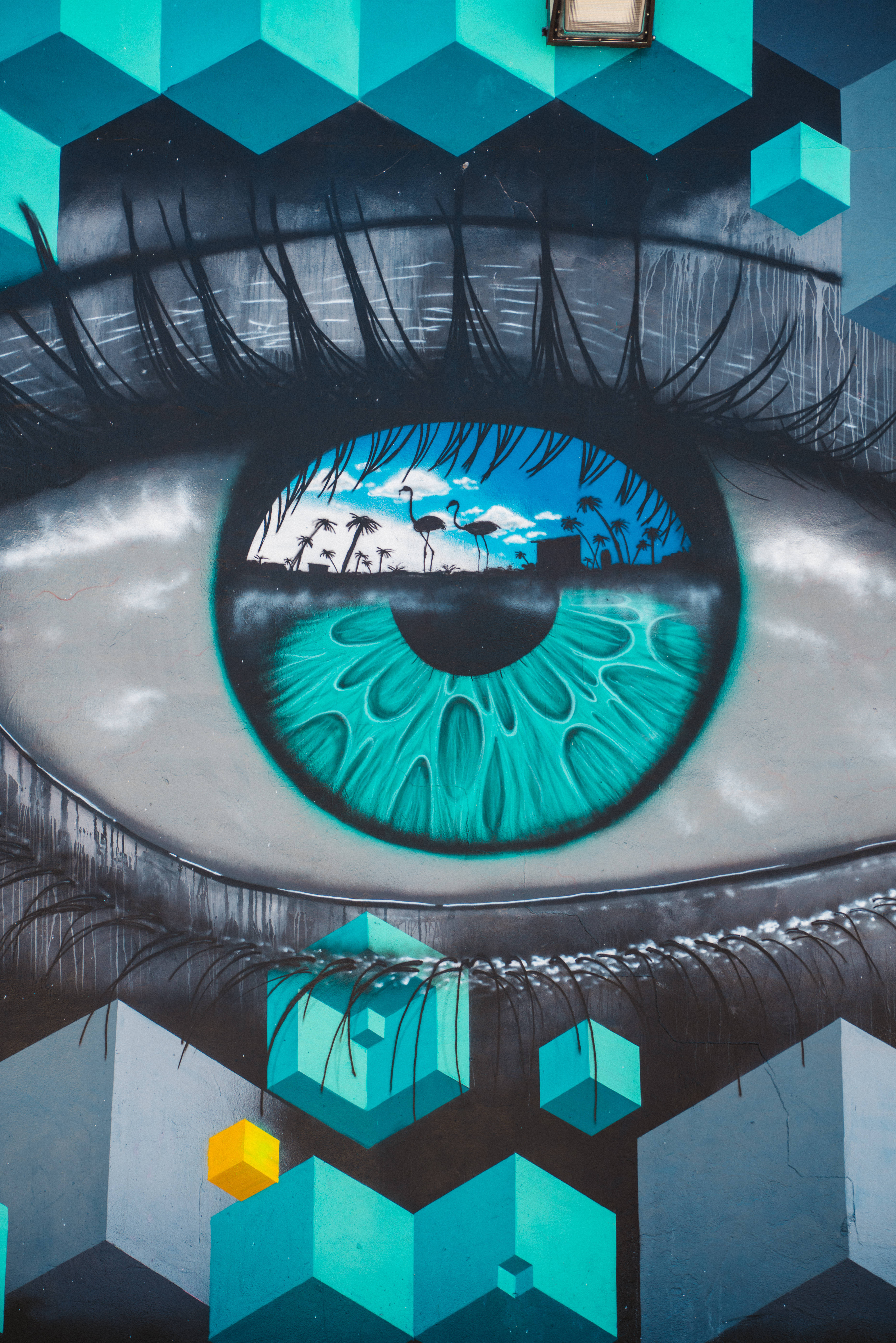 turquoise irises, tropical scene, geometric cubes, 8K Phone Wallpaper