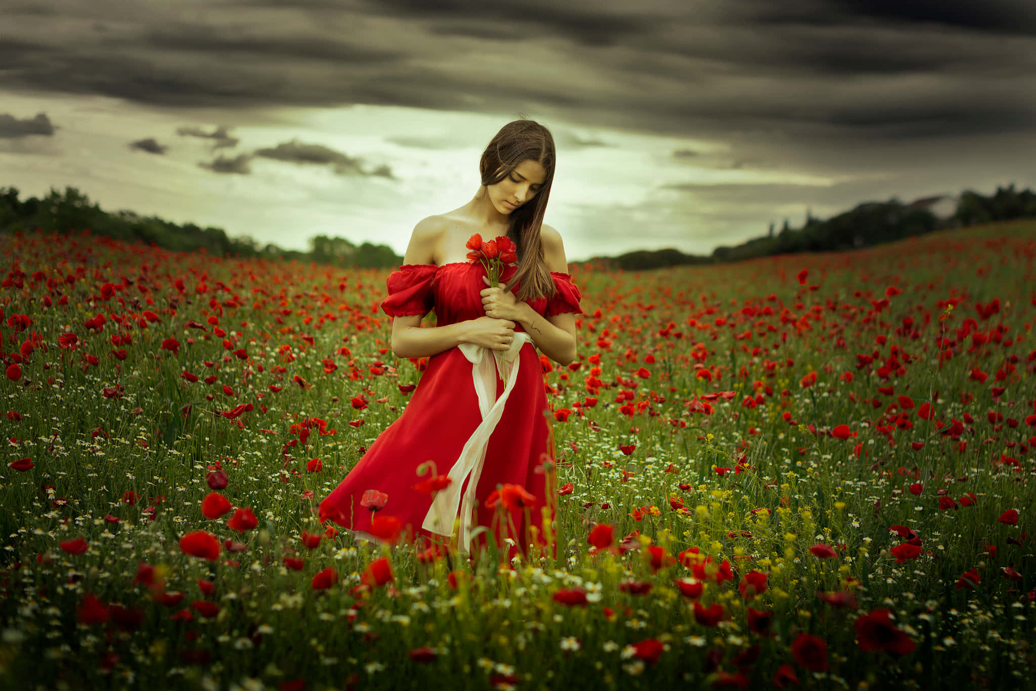 Poppy Field, red poppies, flowing red dress, Full HD Desktop Wallpaper