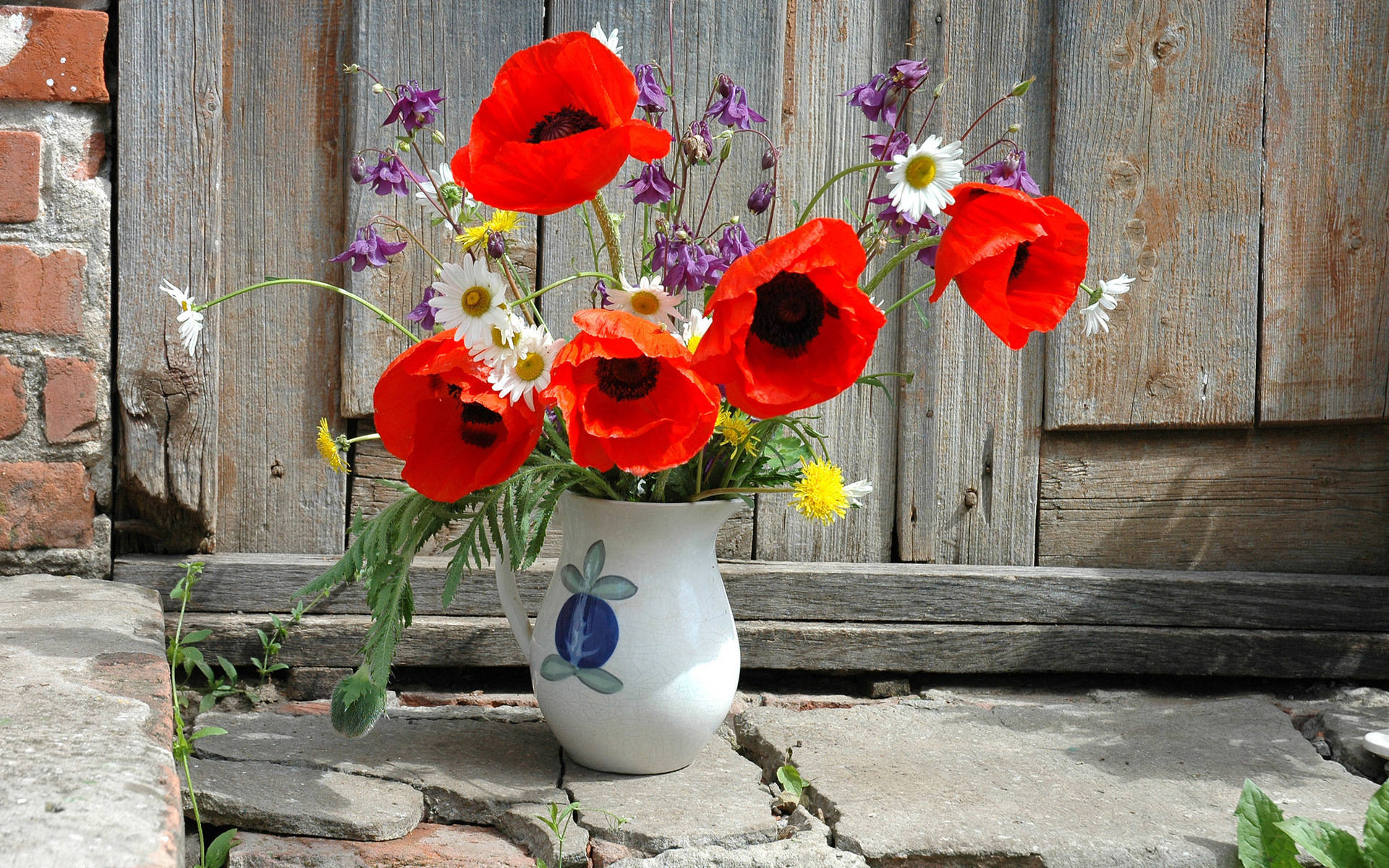 ceramic flower vase, poppies, vibrant red poppies, Full HD Desktop Wallpaper