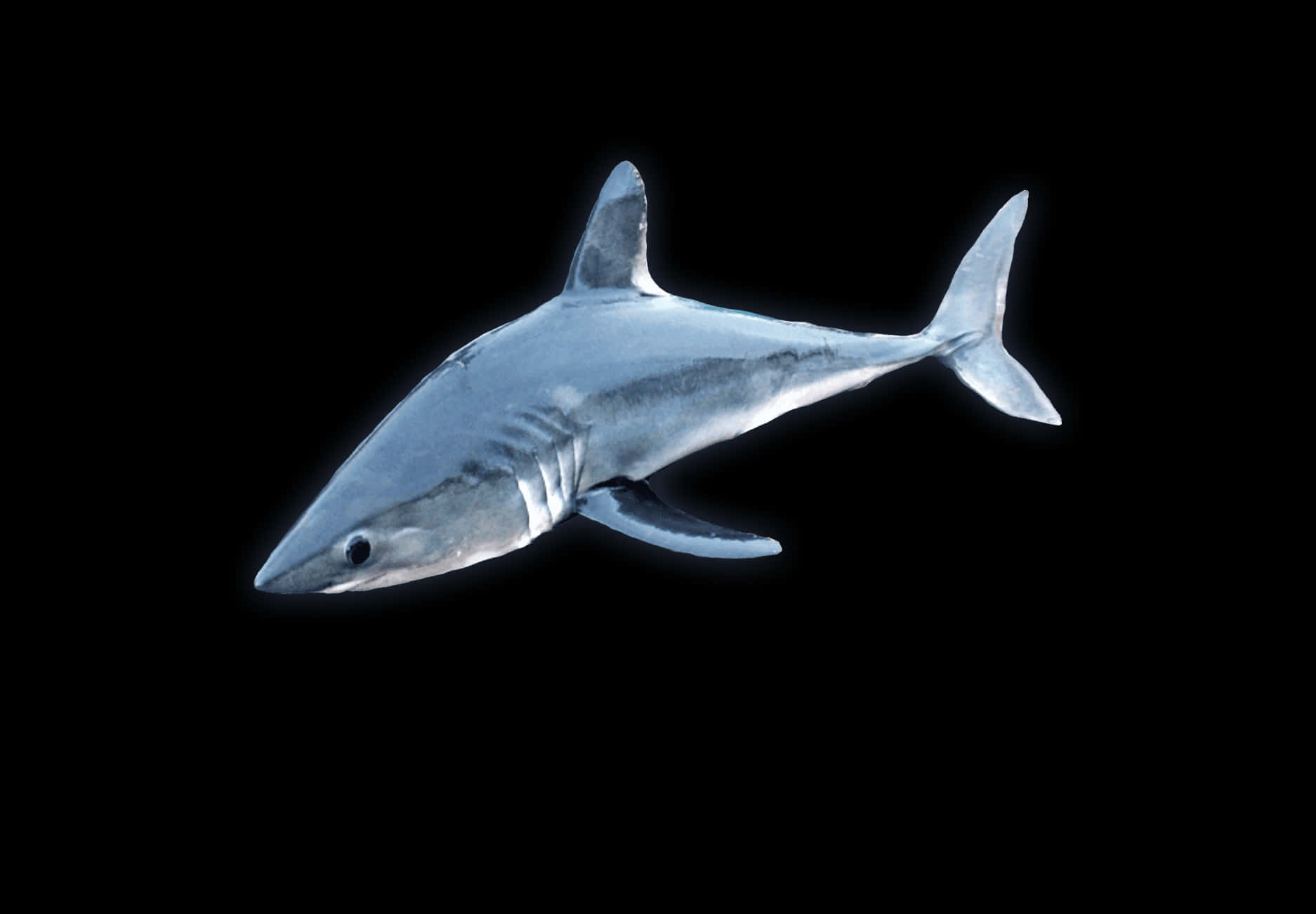 Porbeagle Shark, deep blue, glowing edges, HD Desktop Wallpaper