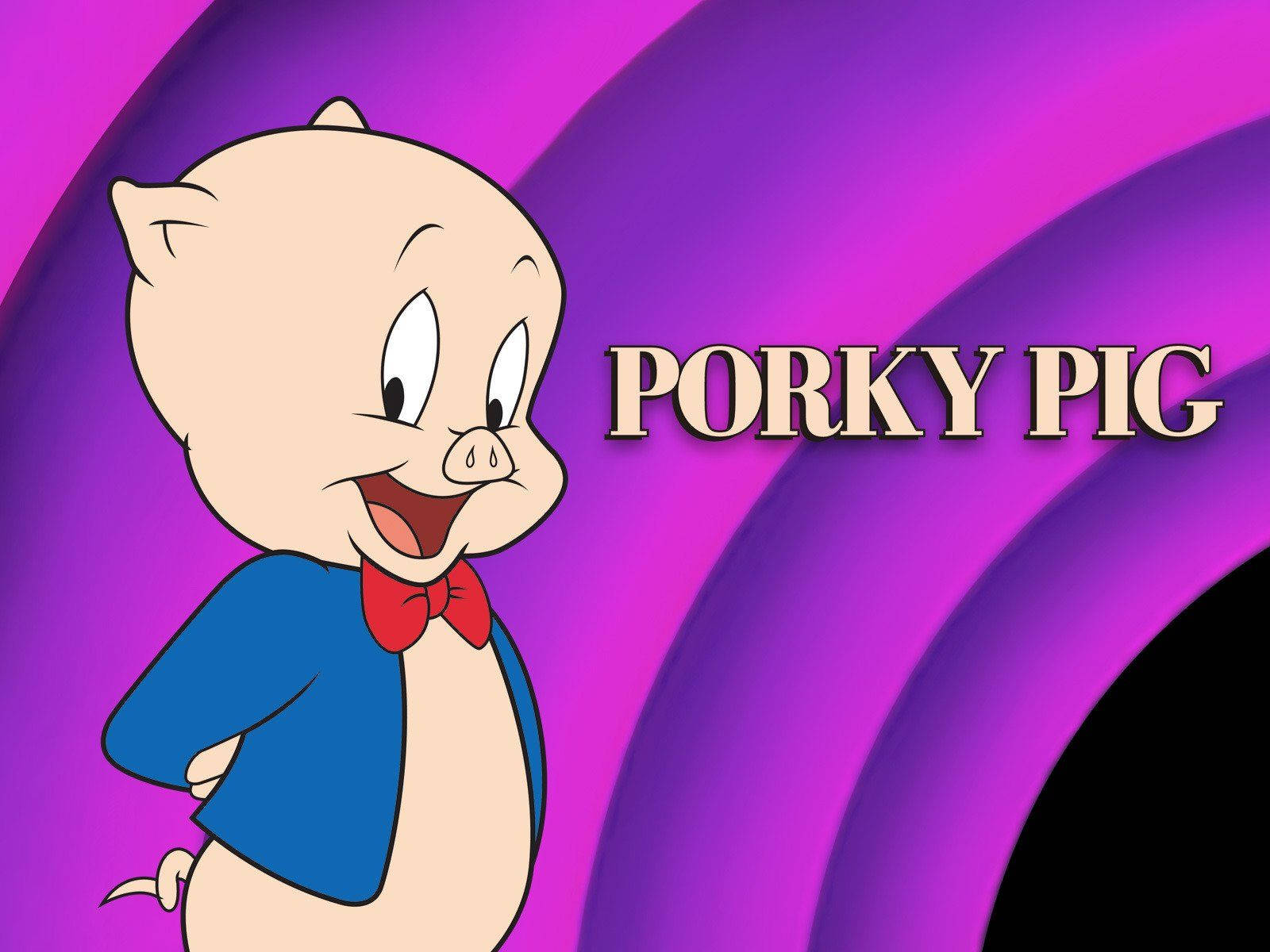 Porky Pig, blue suit, red bowtie, HD Desktop Wallpaper