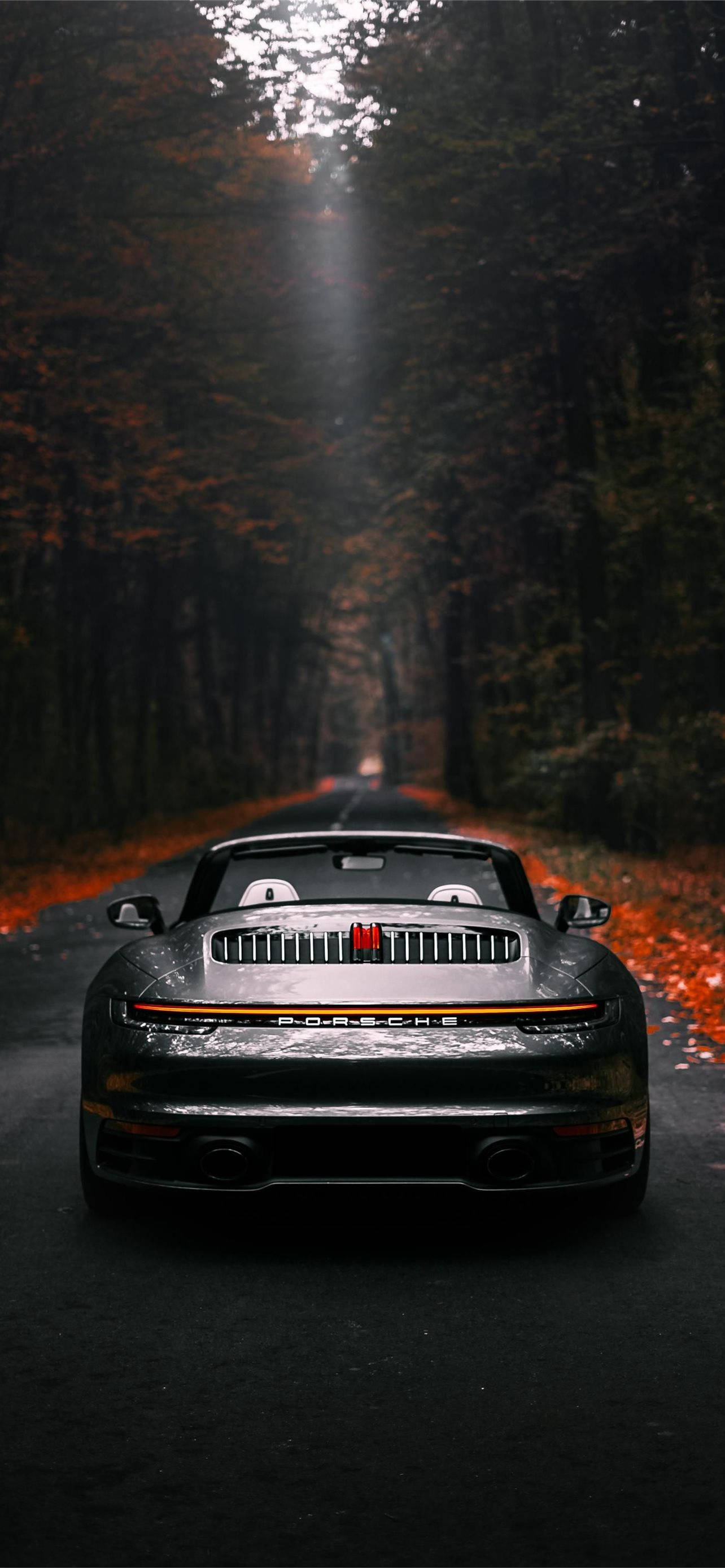 black Porsche 911, forest road, autumn trees, 2K Phone Wallpaper
