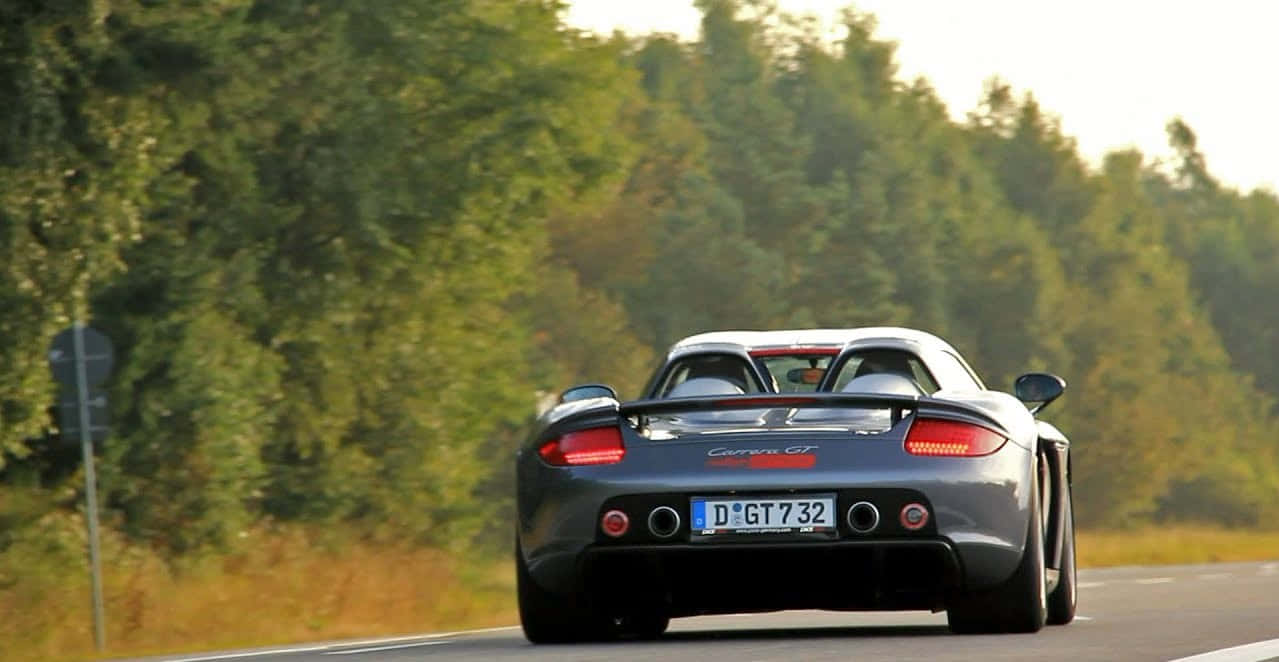 Porsche Carrera GT, gray, sunlit forest road, SD Desktop Wallpaper