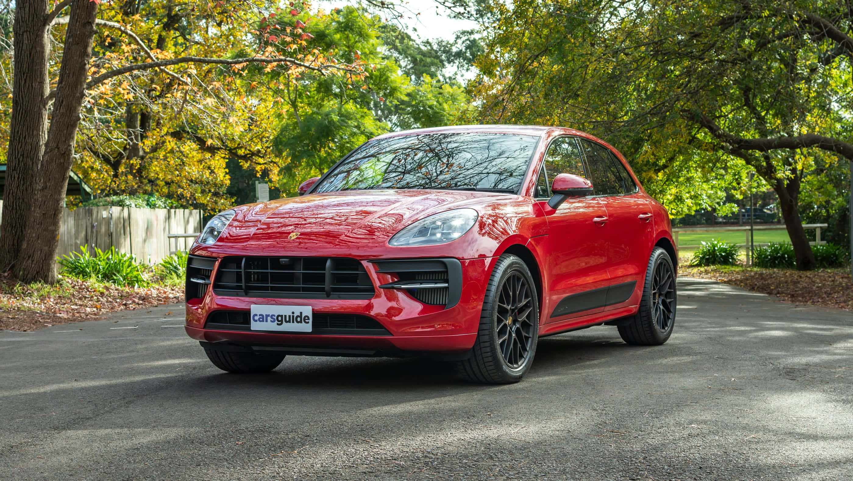 Porsche Macan, glossy red, tree-lined driveway, 2K Desktop Wallpaper
