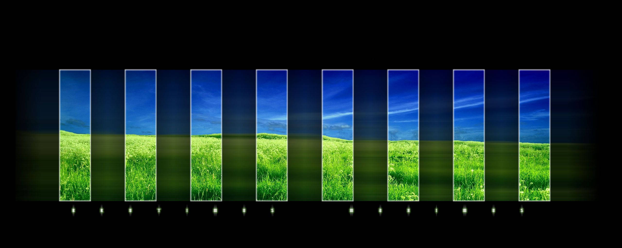 black screen, green grass, blue sky, 2K Desktop Wallpaper