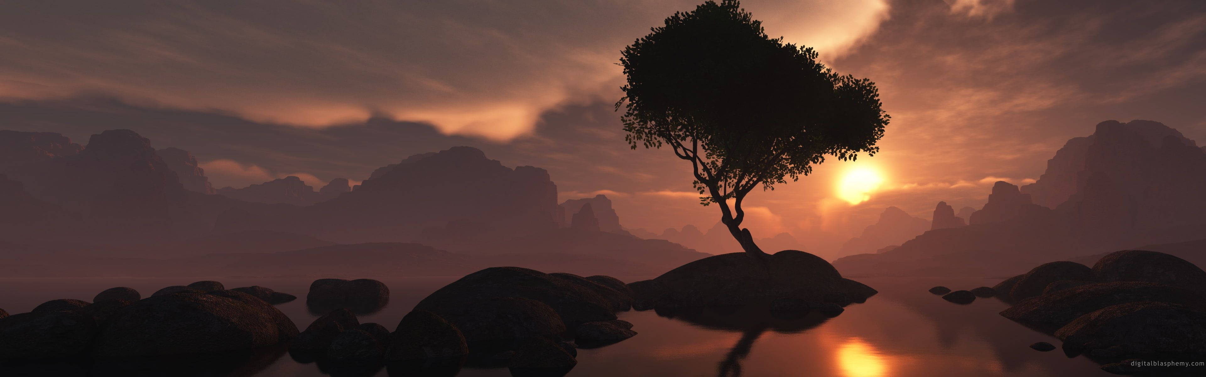 Portal Dual Screen, tree, rock, 4K Desktop Wallpaper
