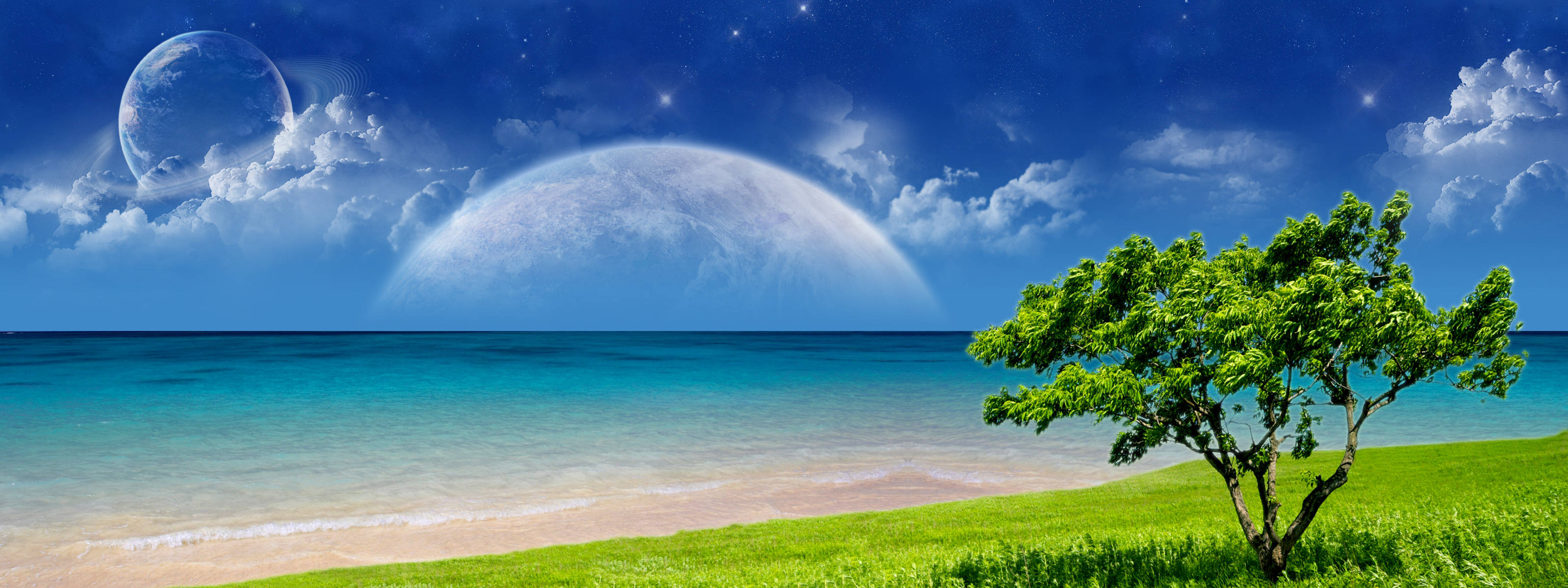 Portal Dual Screen, green tree, grassy shore, 2K Desktop Wallpaper