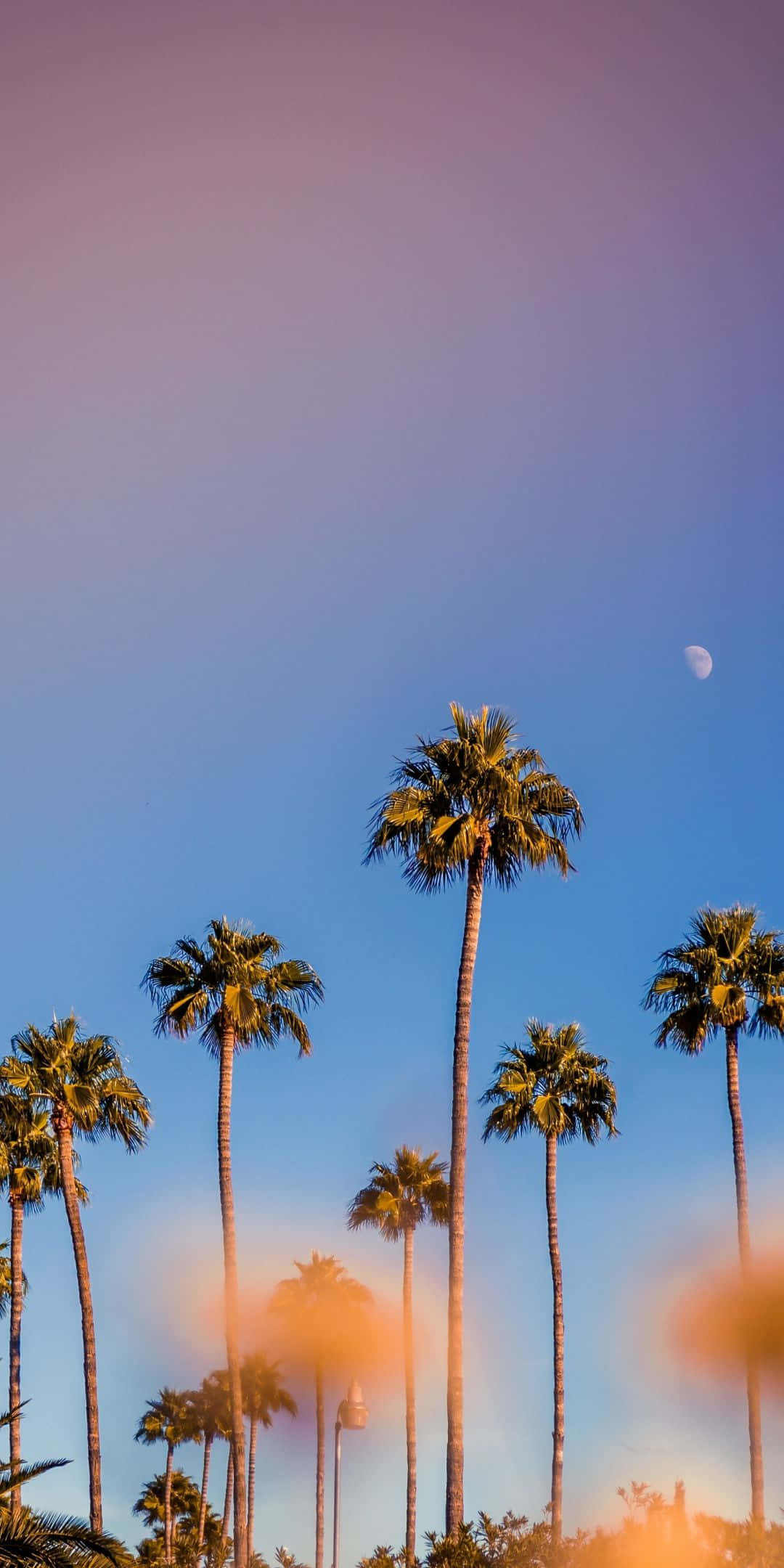 Portrait Mode, twilight sky, crescent moon, Full HD Phone Wallpaper