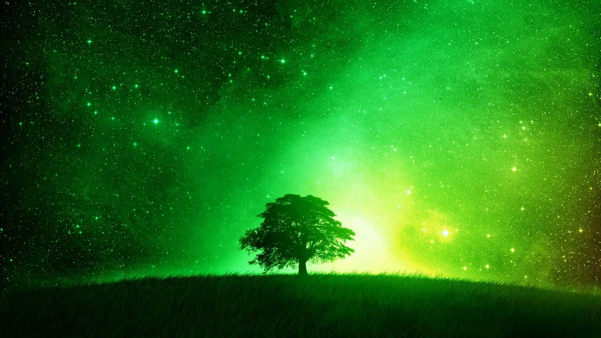 Therapeutic Desktop, lone tree silhouette, grassy hill, Full HD Desktop Wallpaper