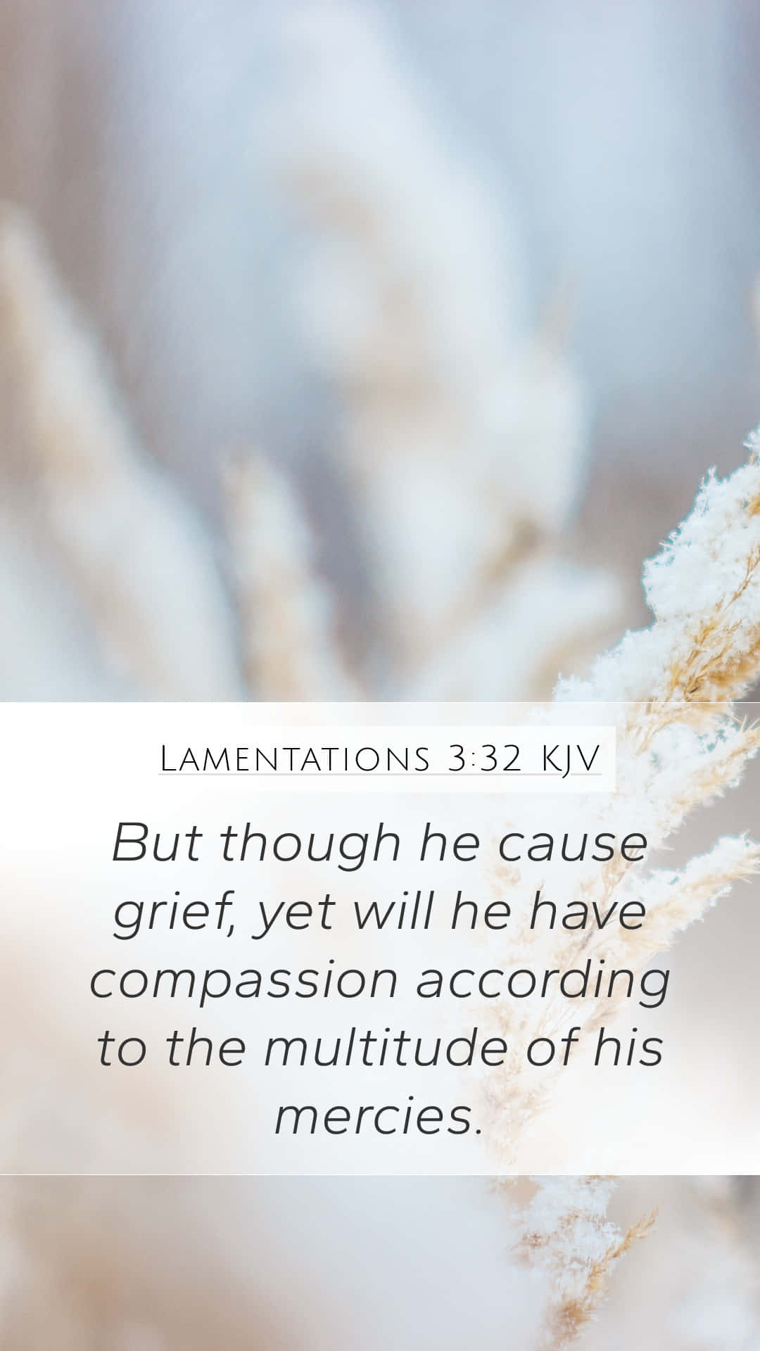 Lamentations 3:32 KJV, frosty dried grasses, softly blurred, Full HD Phone Wallpaper