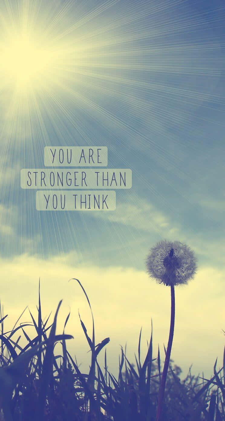 dandelion seed head, sunburst sky, motivational text overlay, HD Phone Wallpaper