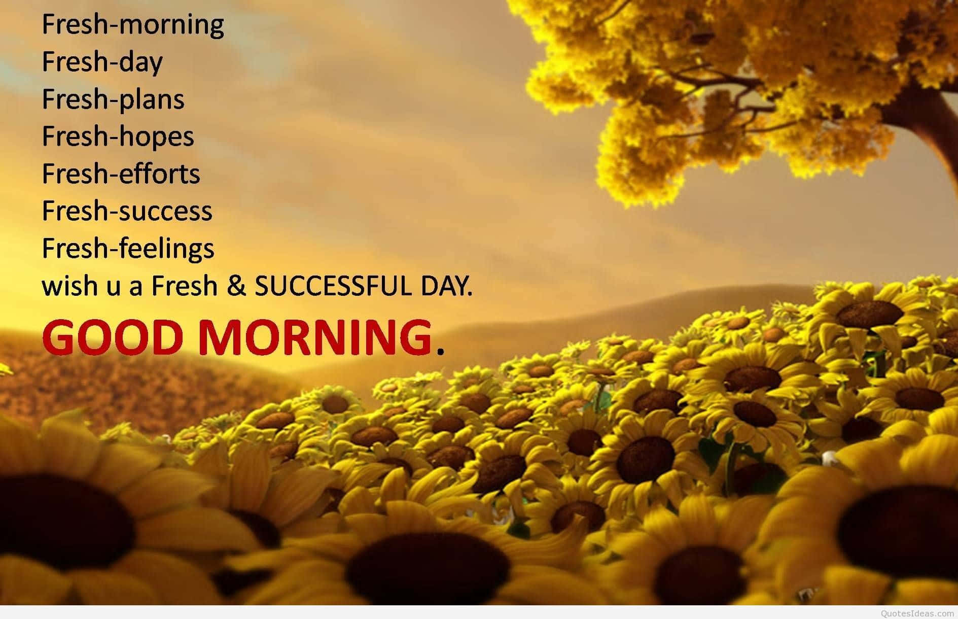 sunflowers, golden sunrise, motivational text, HD Desktop Wallpaper