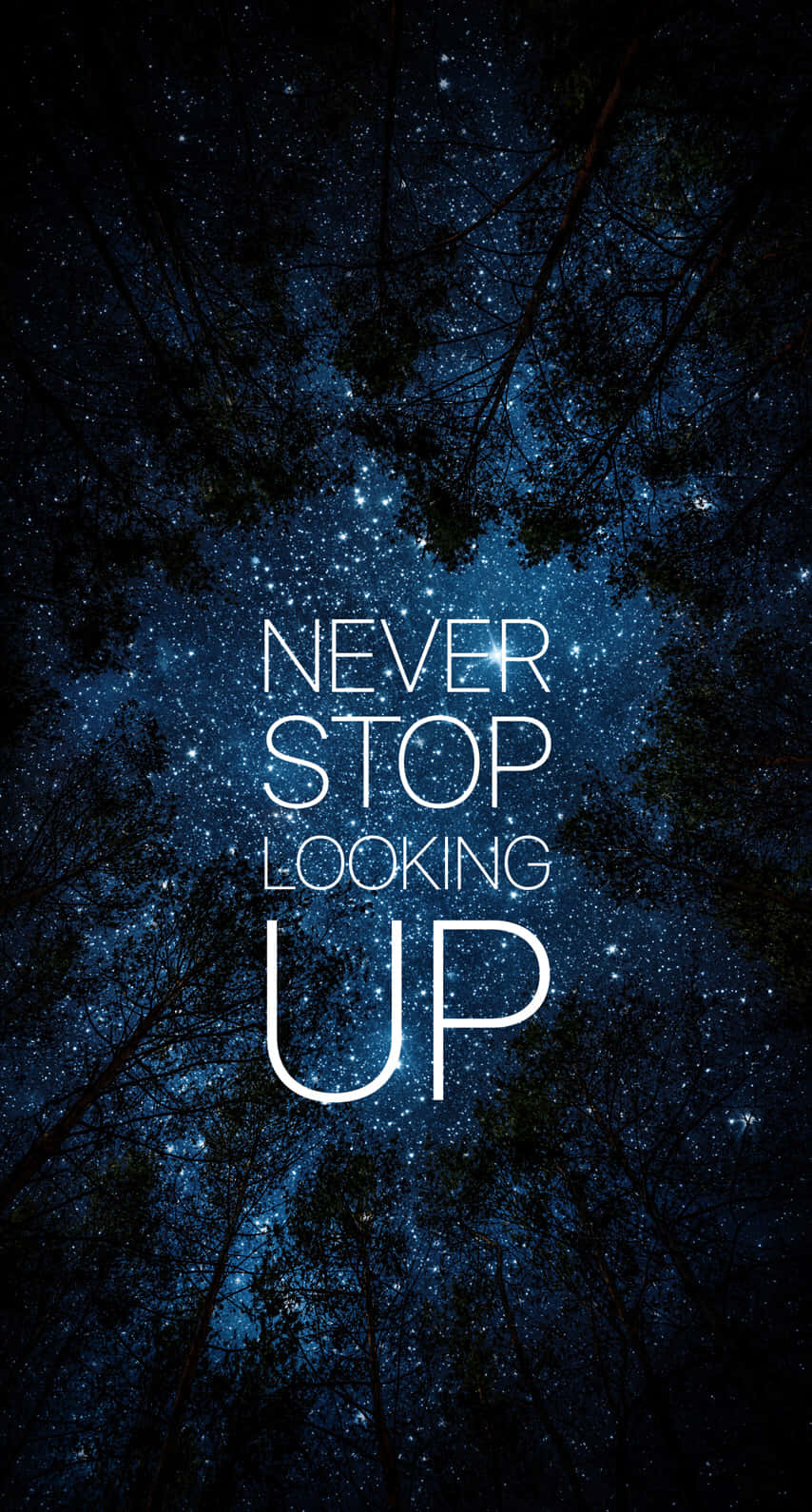 Star-filled night sky, dark tree branches, glowing white inspirational text, HD Phone Wallpaper