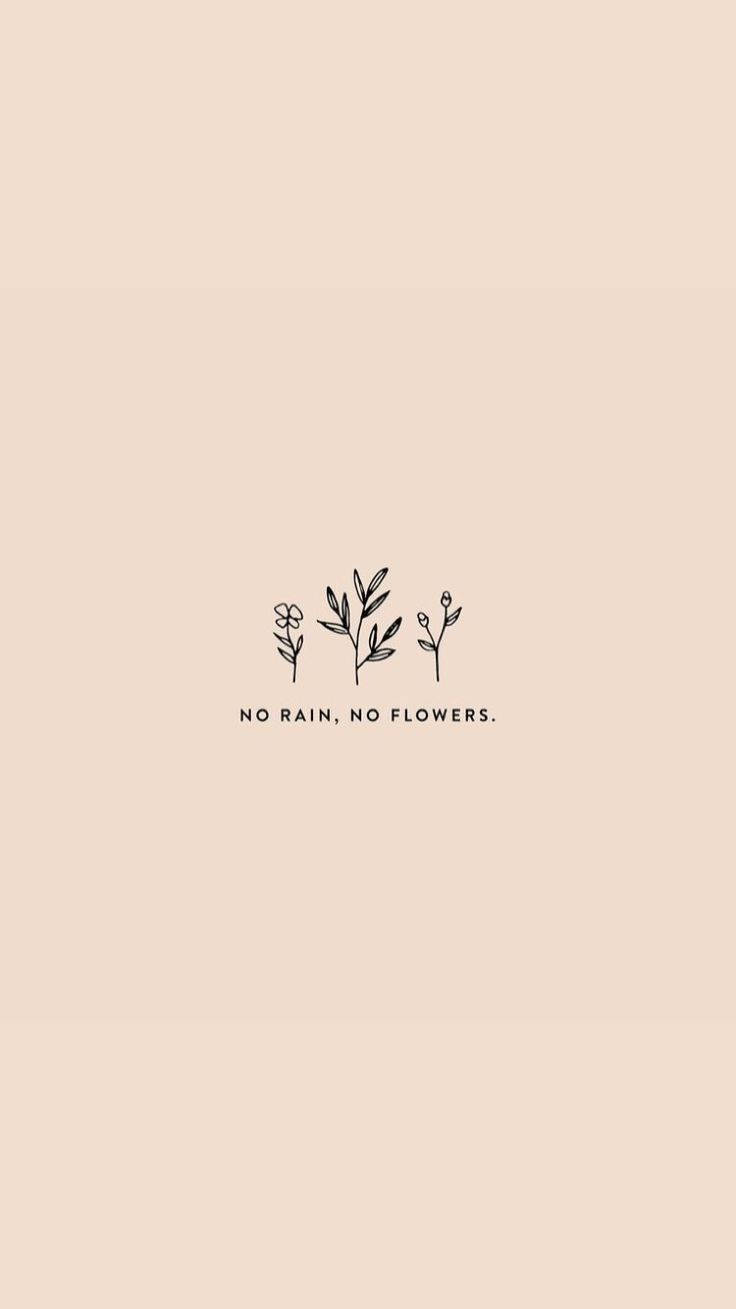 no rain no flowers, minimalist line art, three delicate plants, HD Phone Wallpaper