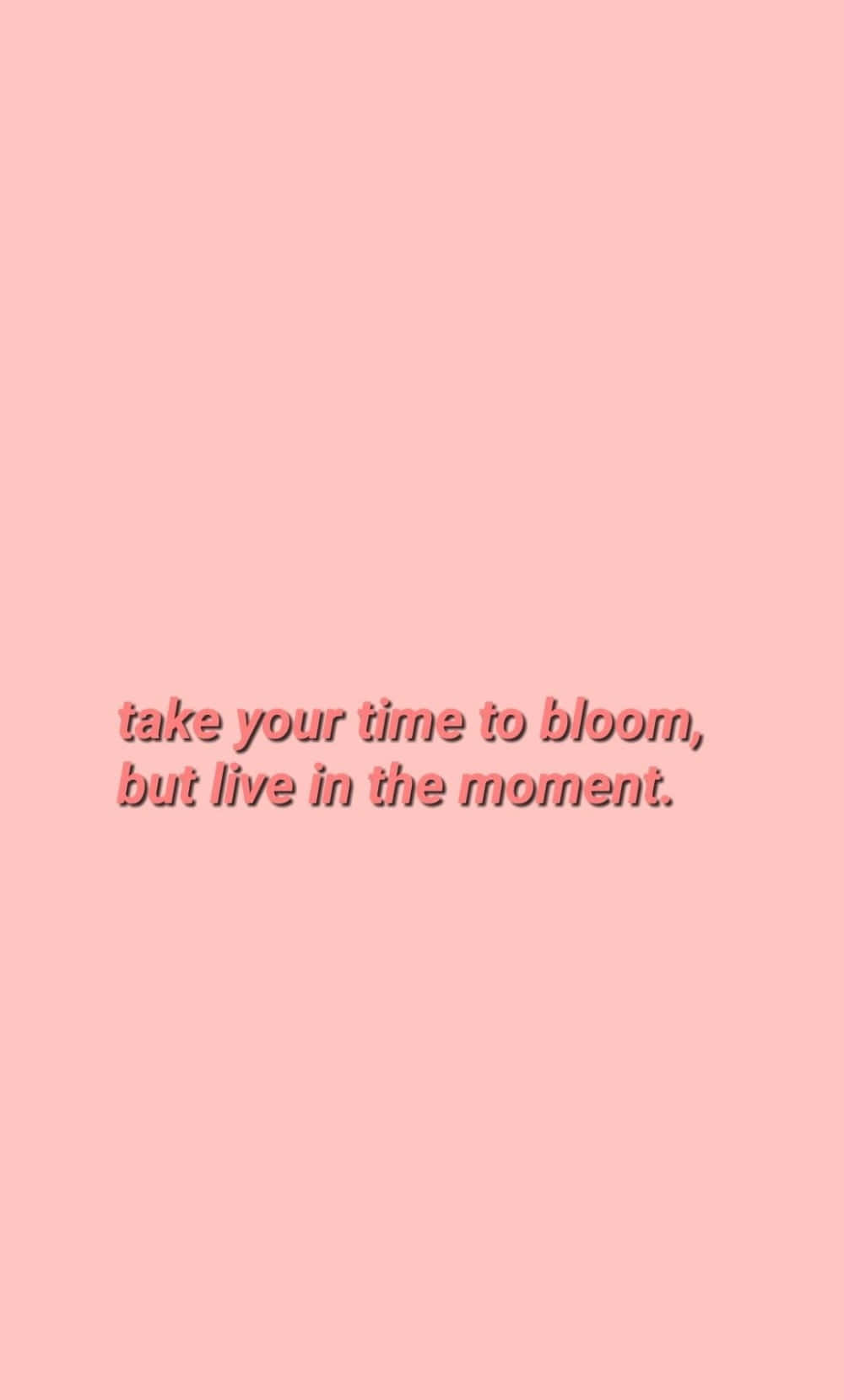pastel pink, minimalist, motivational text, HD Phone Wallpaper