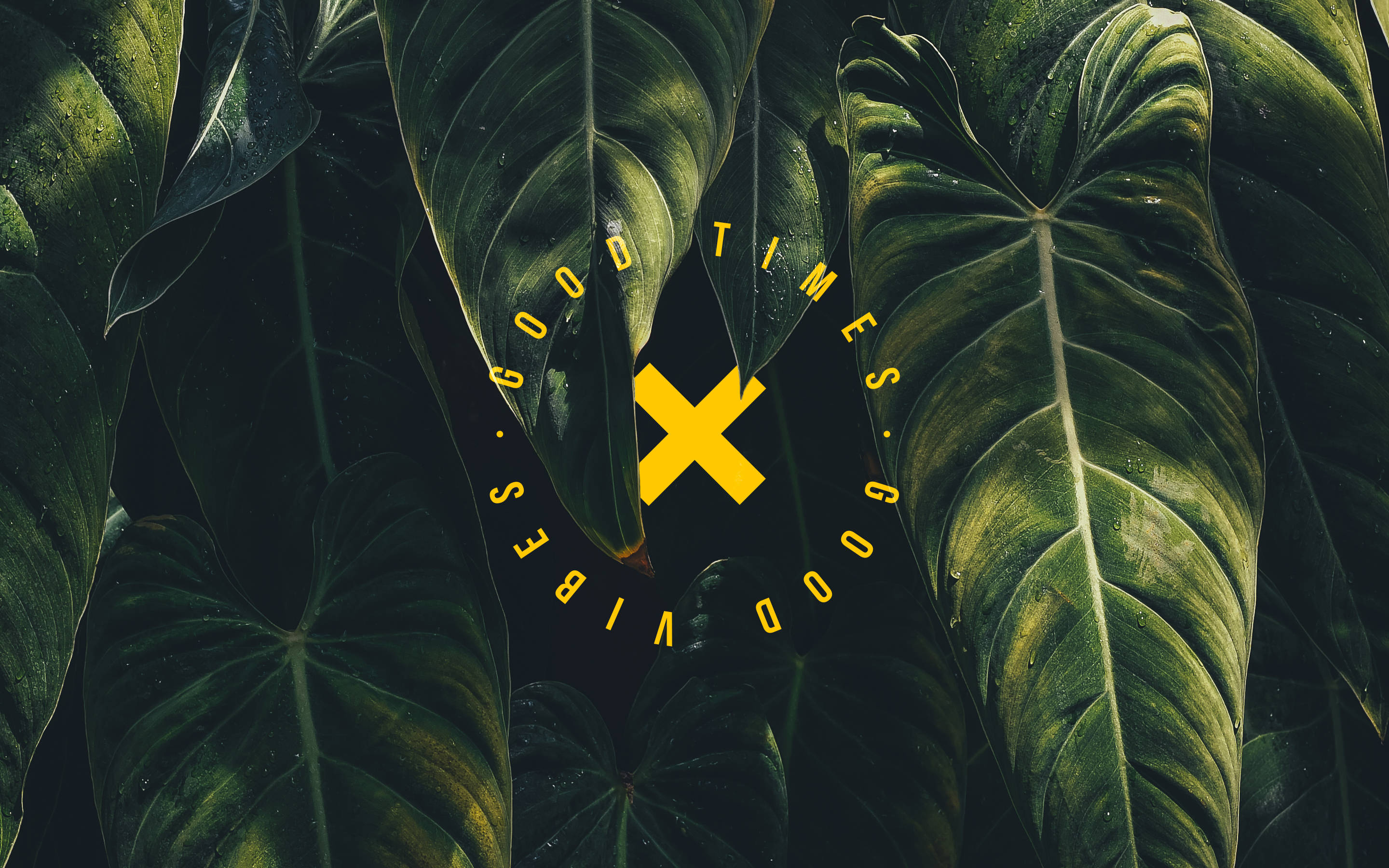 Vibrant yellow, cross emblem, lush dark green tropical leaves, 2K Desktop Wallpaper
