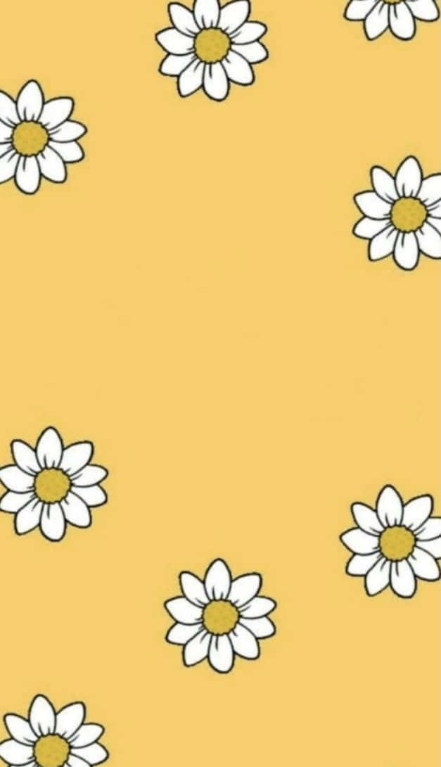 mustard yellow, white daisies, yellow centers, SD Phone Wallpaper