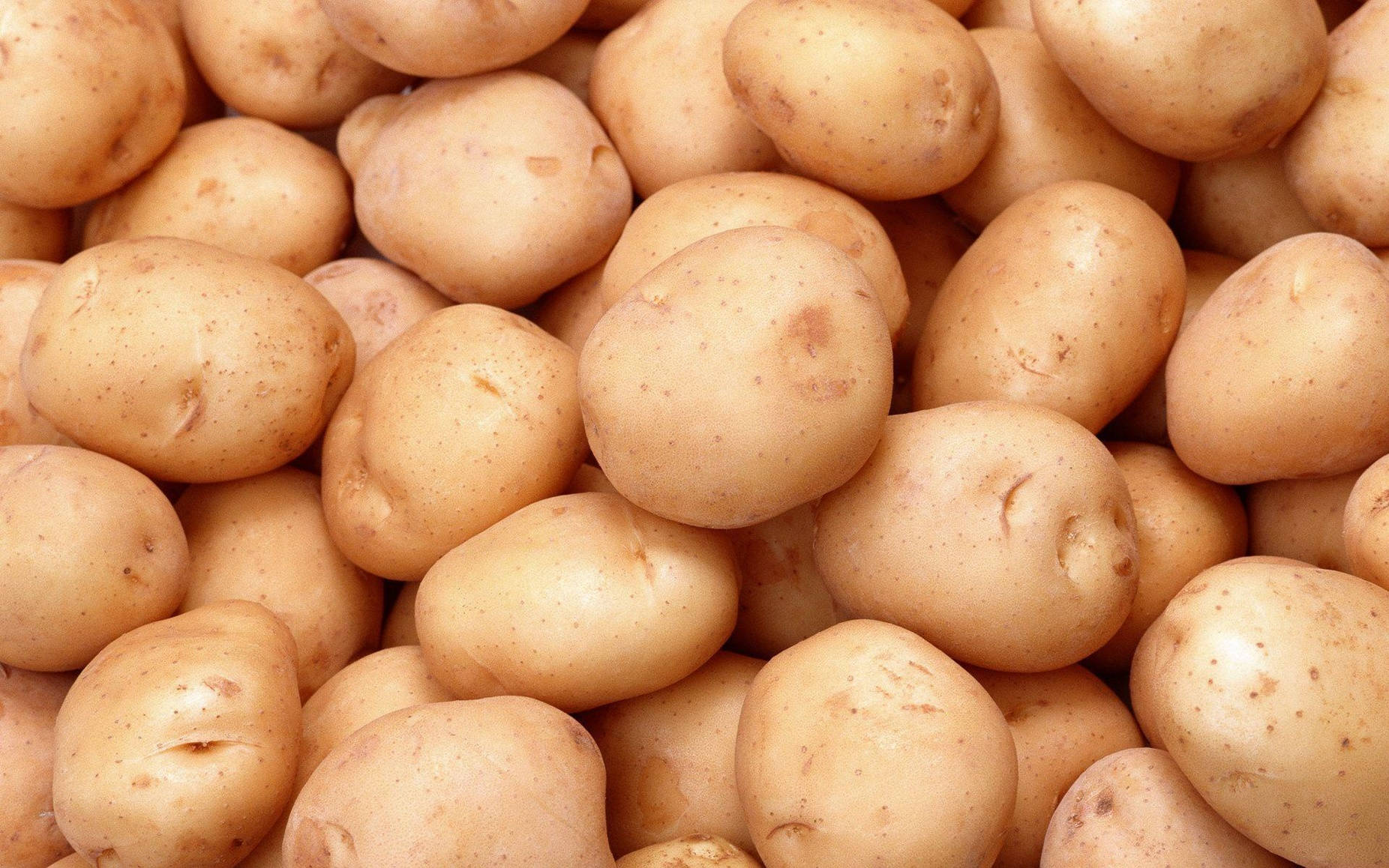 potato, light brown, natural blemishes, HD Desktop Wallpaper