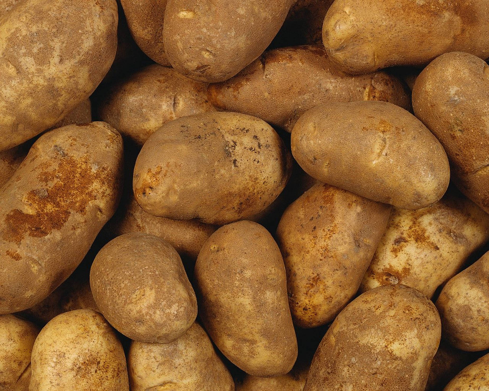 potatoes, dirt, rough textured, HD Desktop Wallpaper