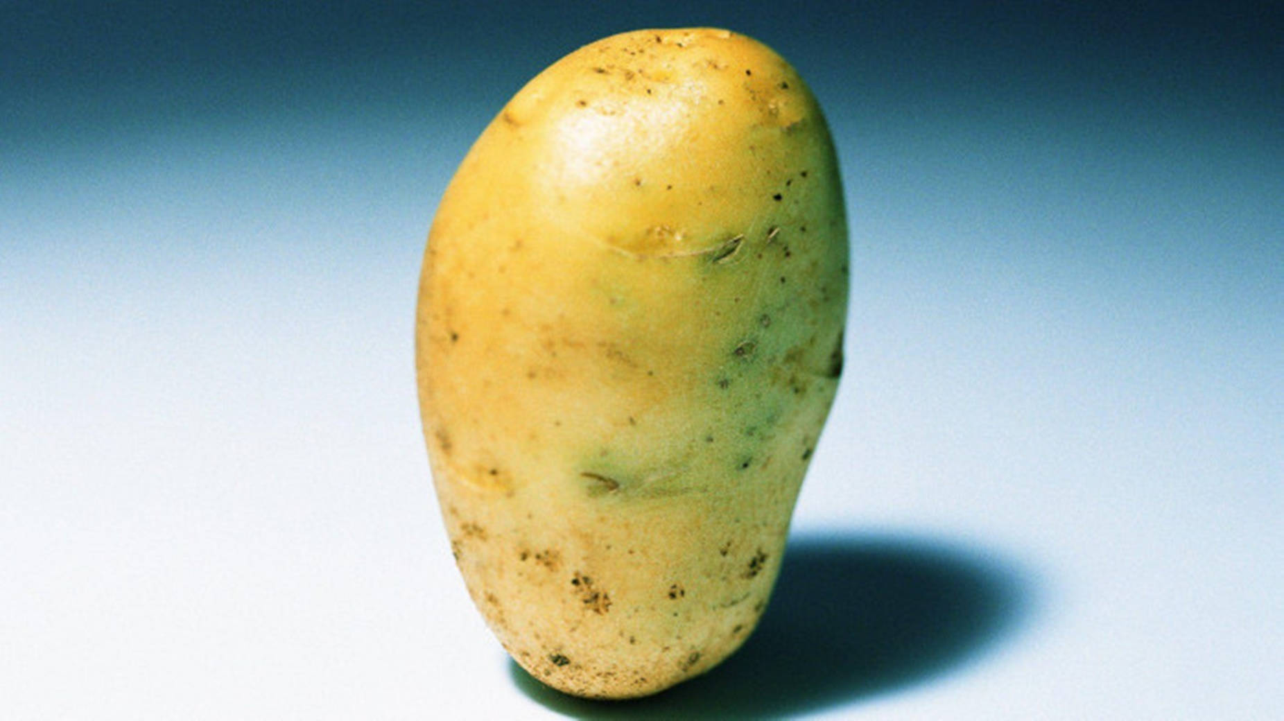 yellow potato, brown spots, soft blue gradient background, HD Desktop Wallpaper