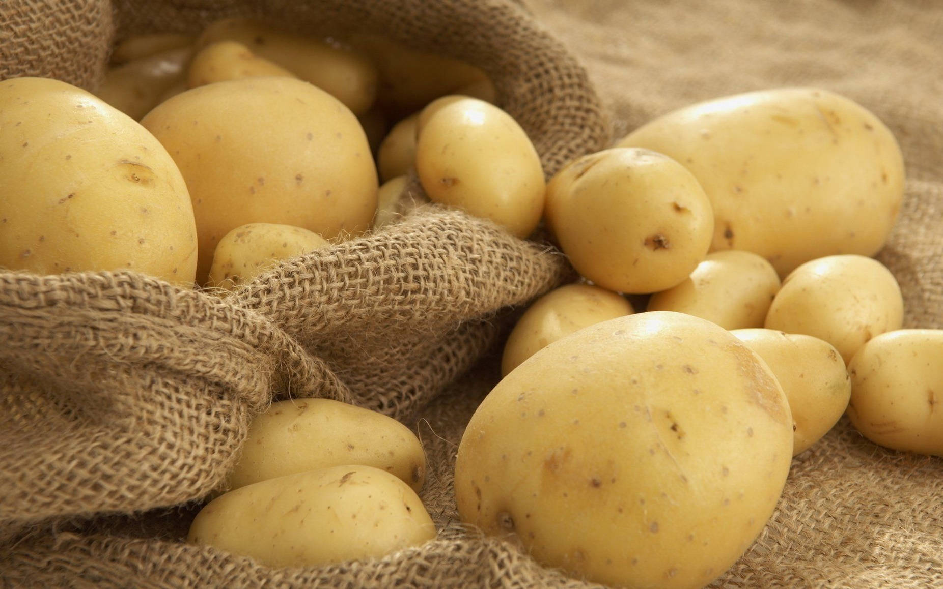 potatoes, brown burlap sack, yellow potatoes, HD Desktop Wallpaper