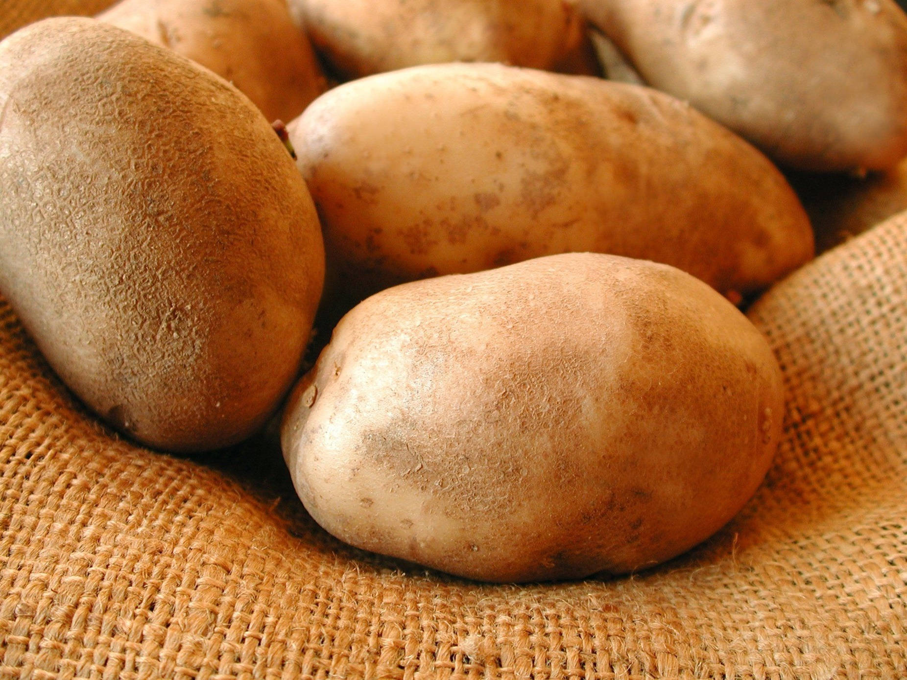 potatoes, dust, burlap, HD Desktop Wallpaper