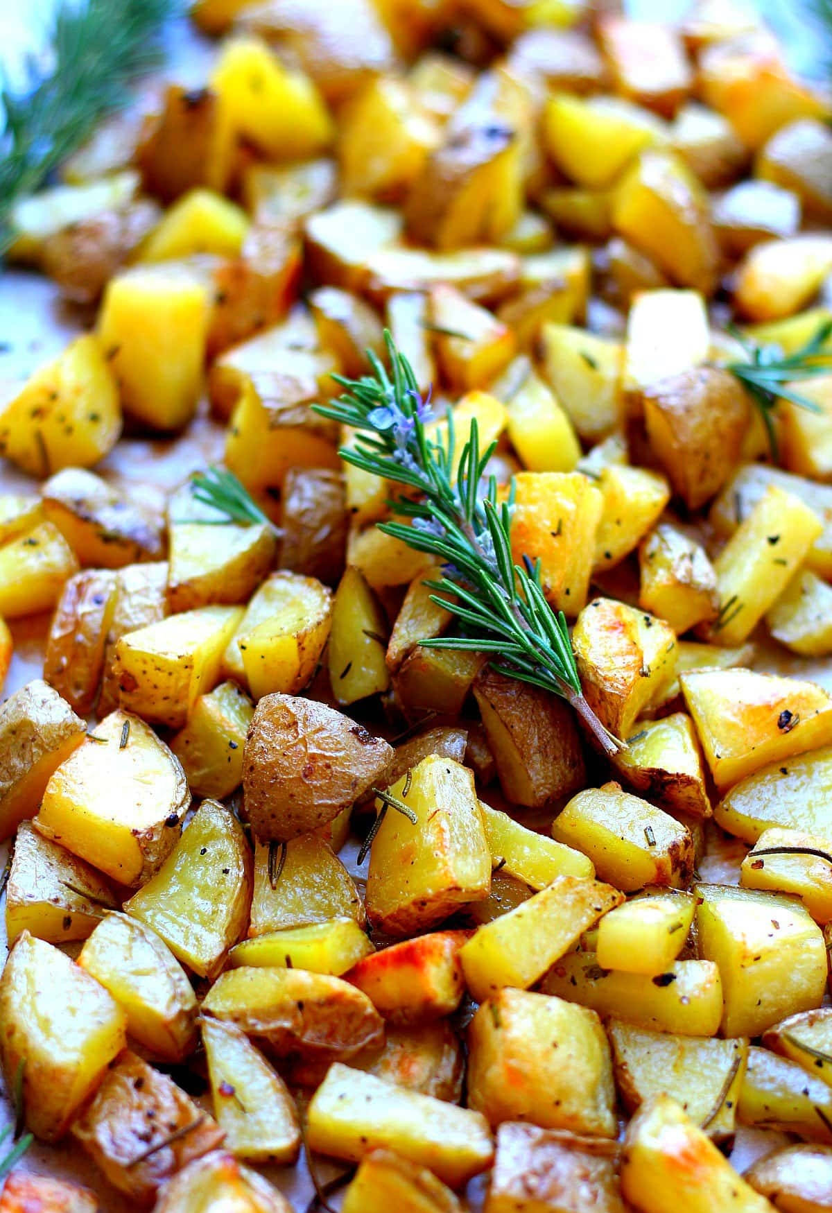 rosemary, potato wedges, golden brown, HD Phone Wallpaper