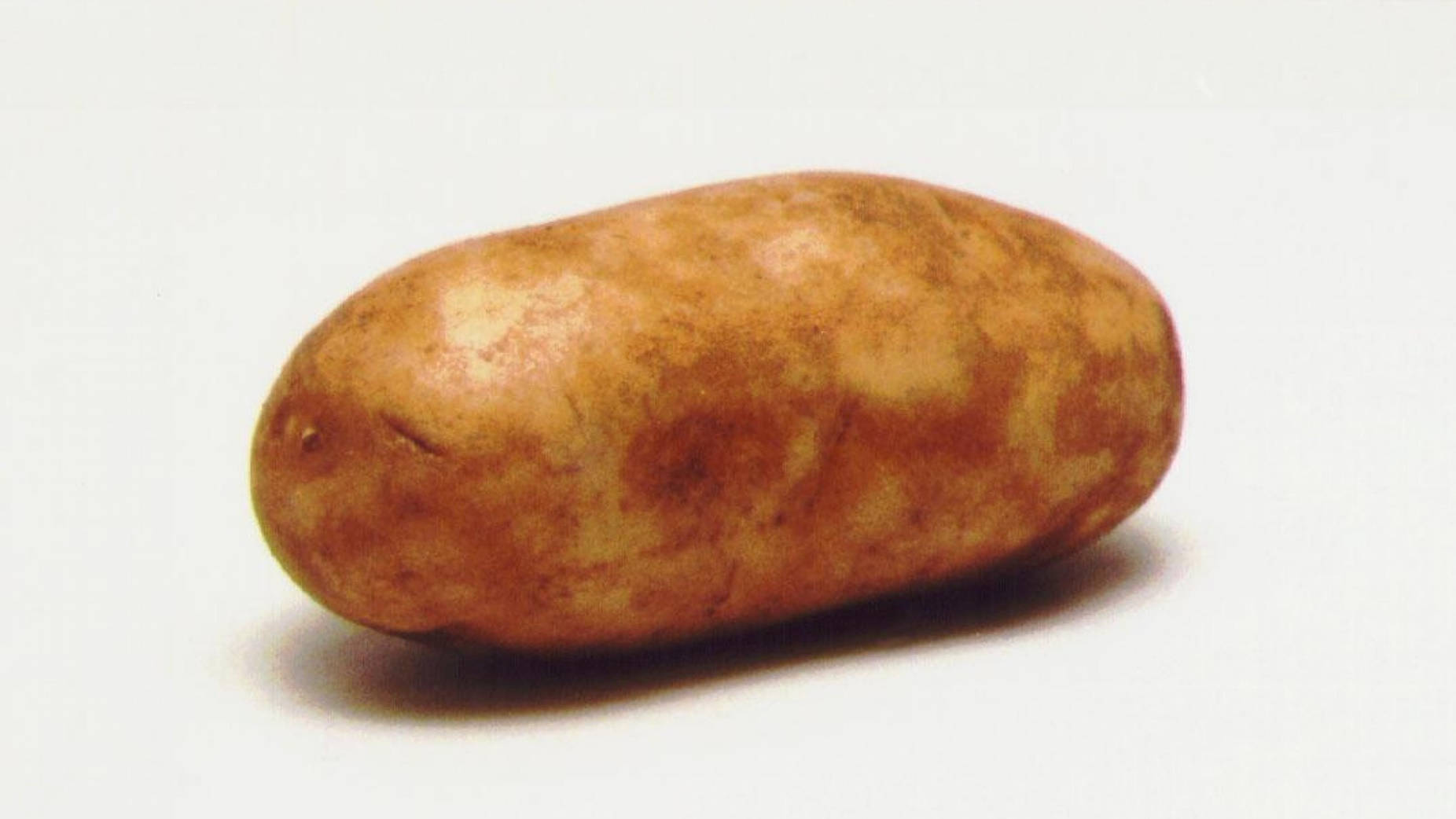 potato, russet, long russet variety, HD Desktop Wallpaper