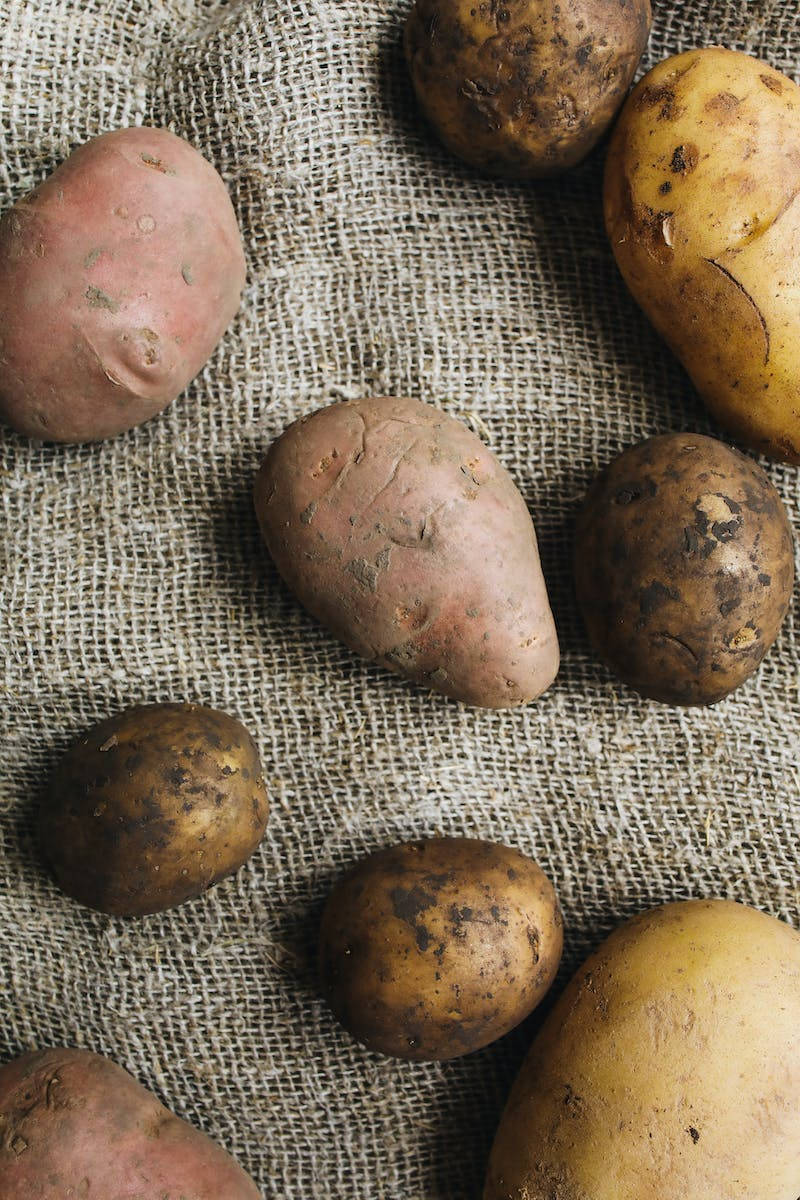 mesh sweet potato, earth tones, coarse burlap fabric, SD Phone Wallpaper