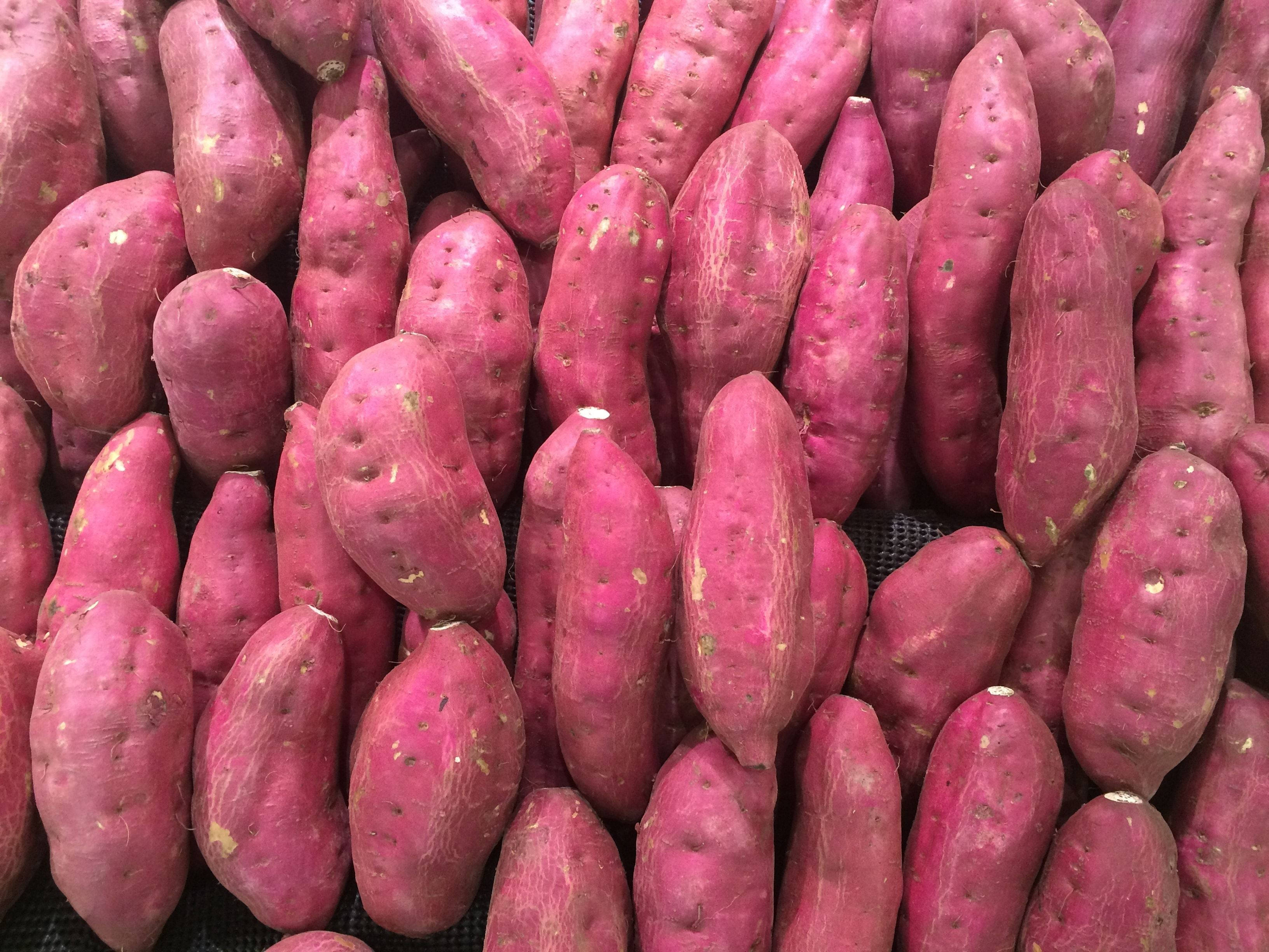sweet potato, pink-skinned, textured skin, 2K Desktop Wallpaper