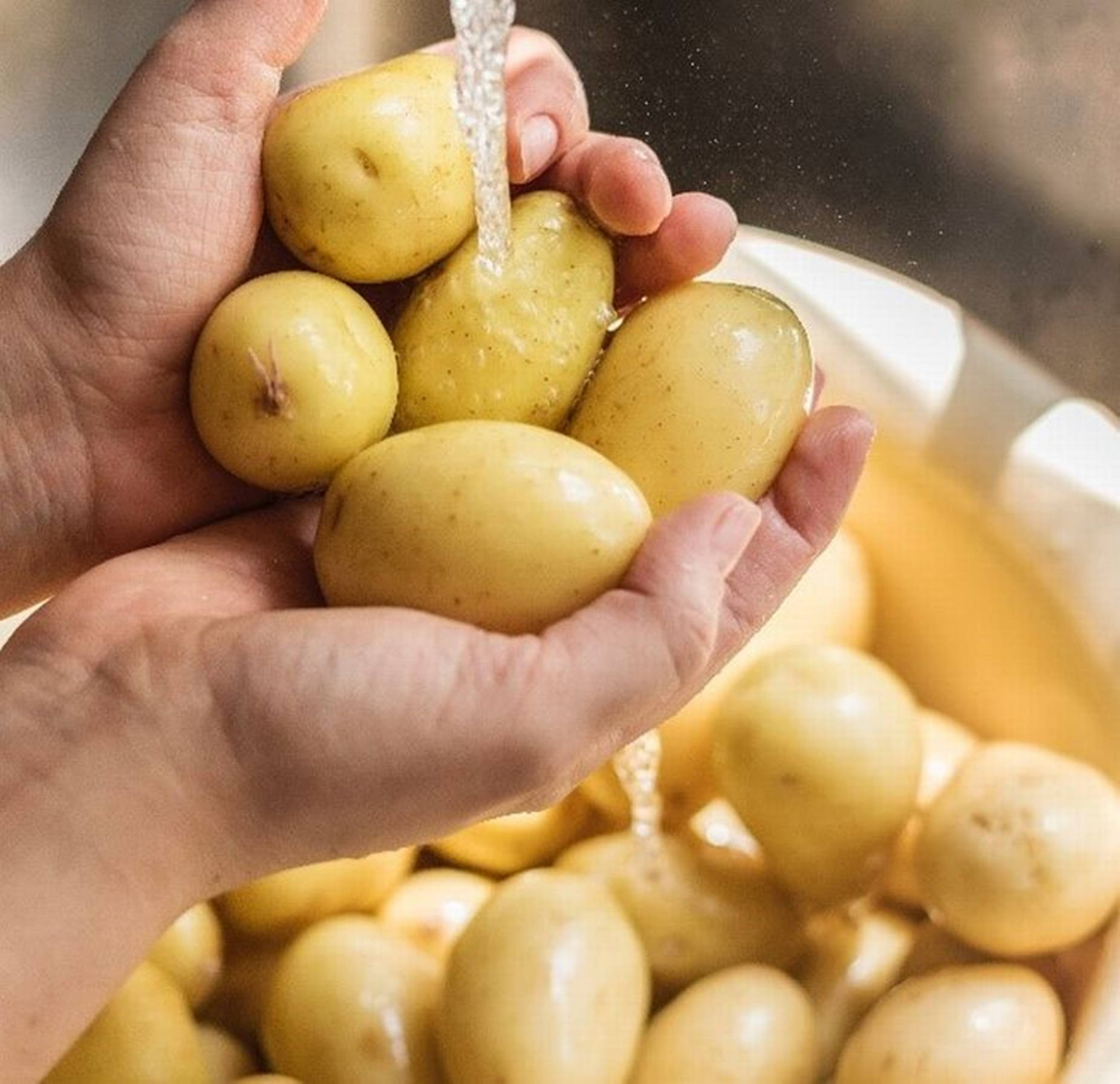 potatoes, running water, white bowl, HD Desktop Wallpaper