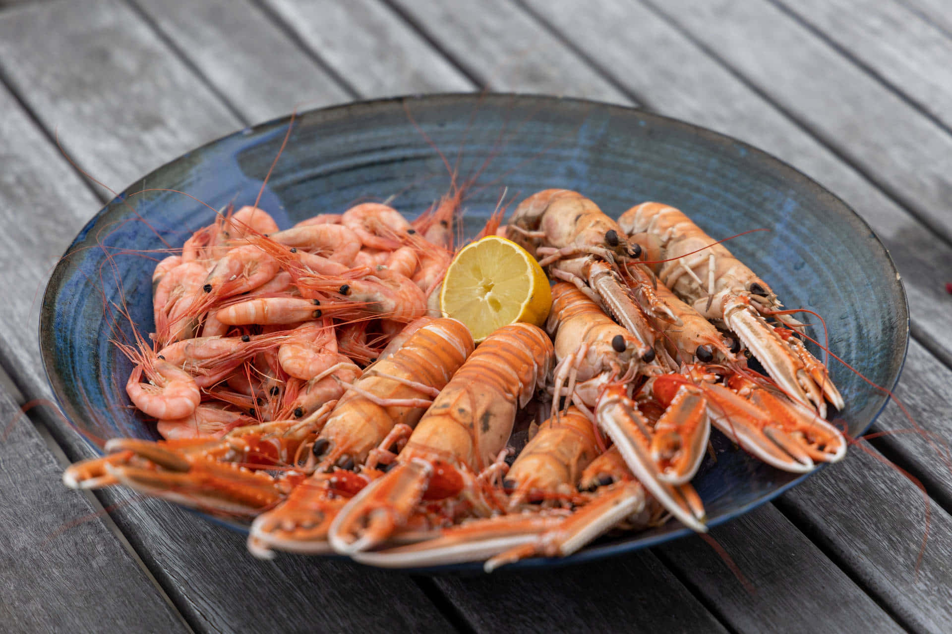 blue ceramic bowl, cooked pink shrimp, large prawns, Full HD Desktop Wallpaper