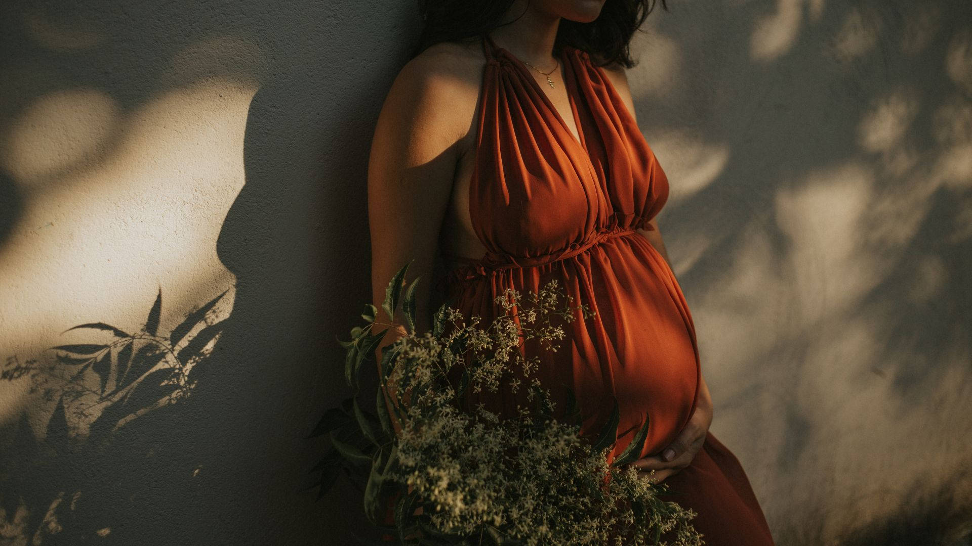 pregnancy, brown dress, rust dress, Full HD Desktop Wallpaper