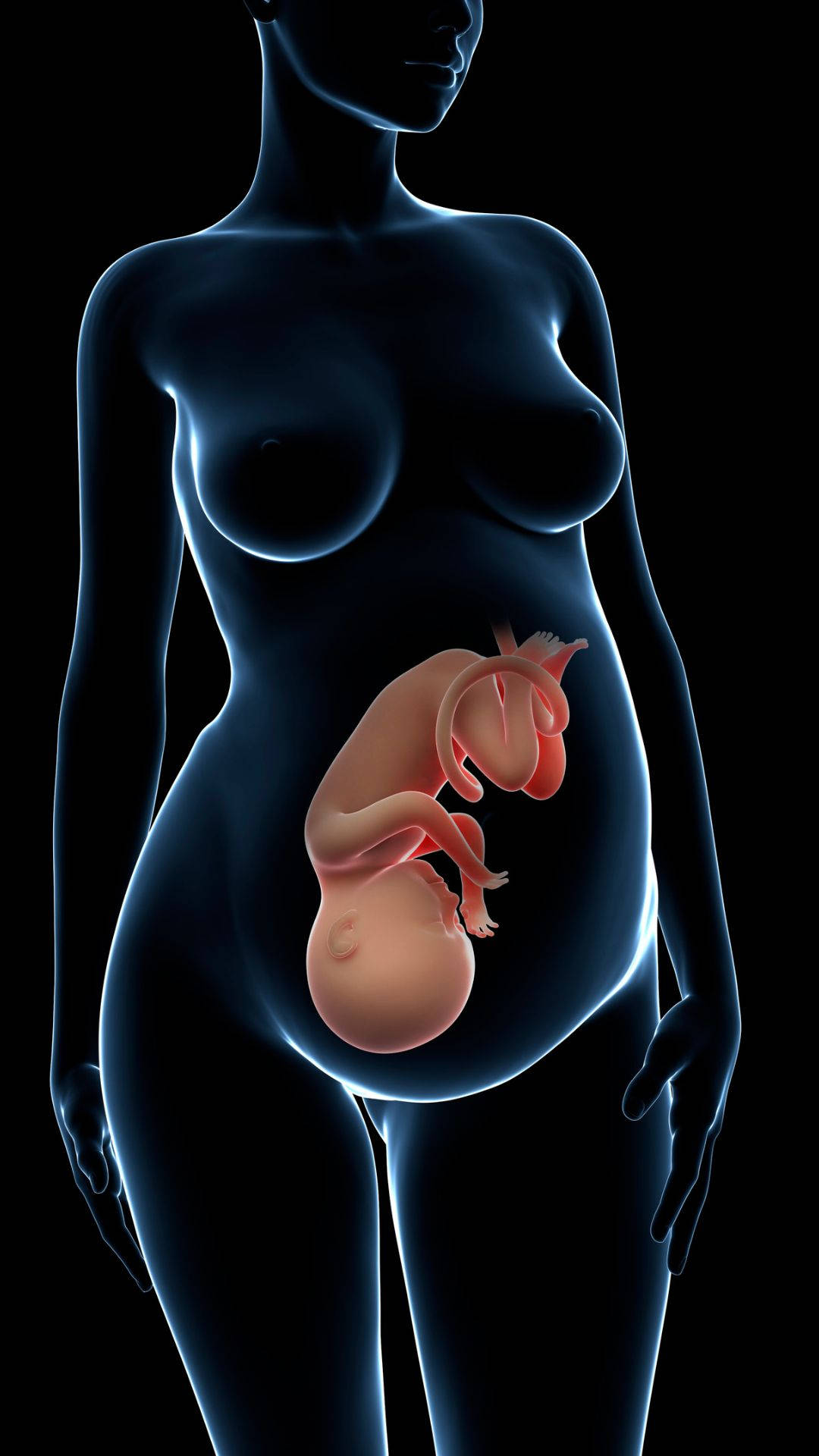 glowing blue translucent pregnant woman silhouette, detailed pink fetus, black background, Full HD Phone Wallpaper