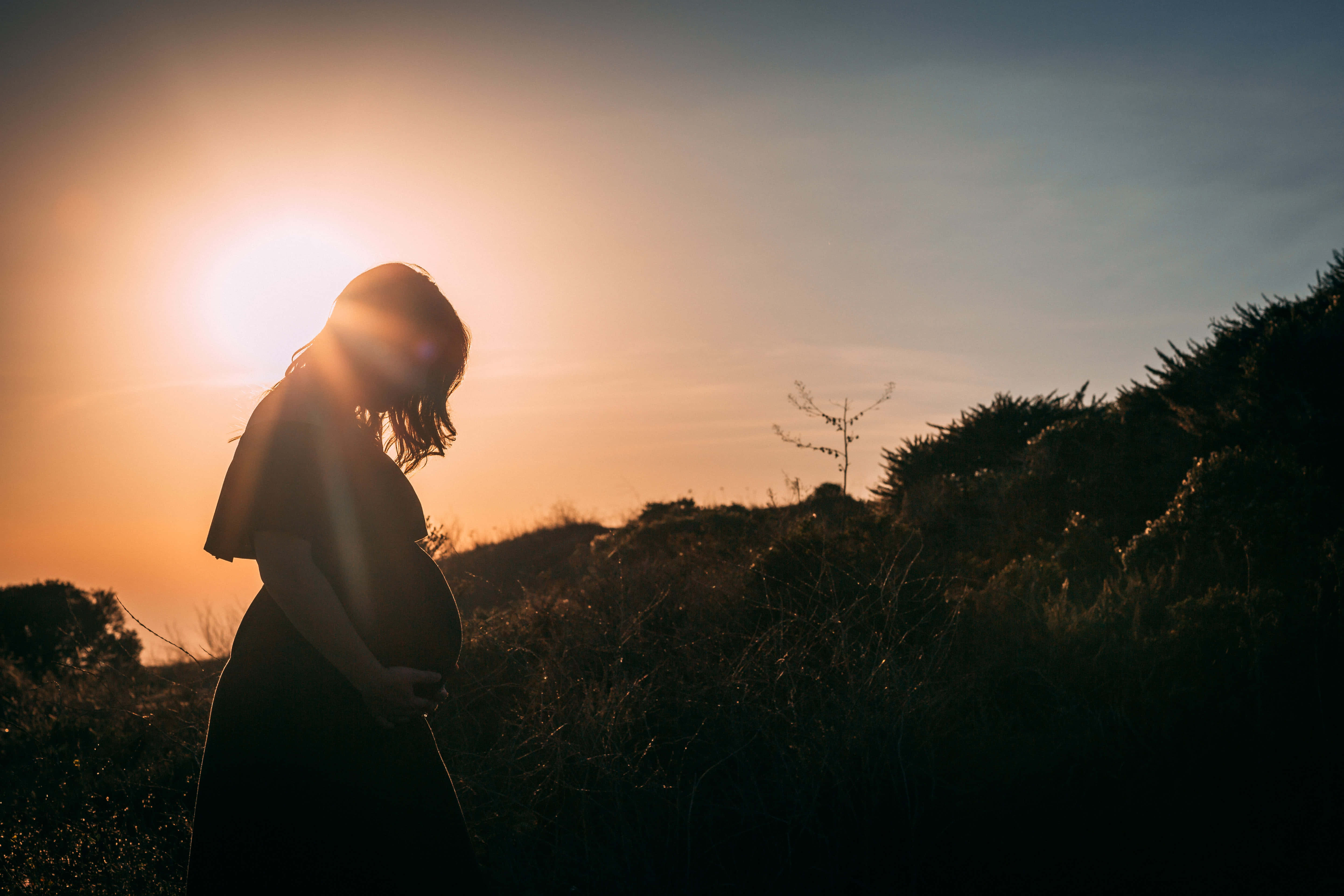 glowing sunset, silhouette, tall grass, 5K Desktop Wallpaper