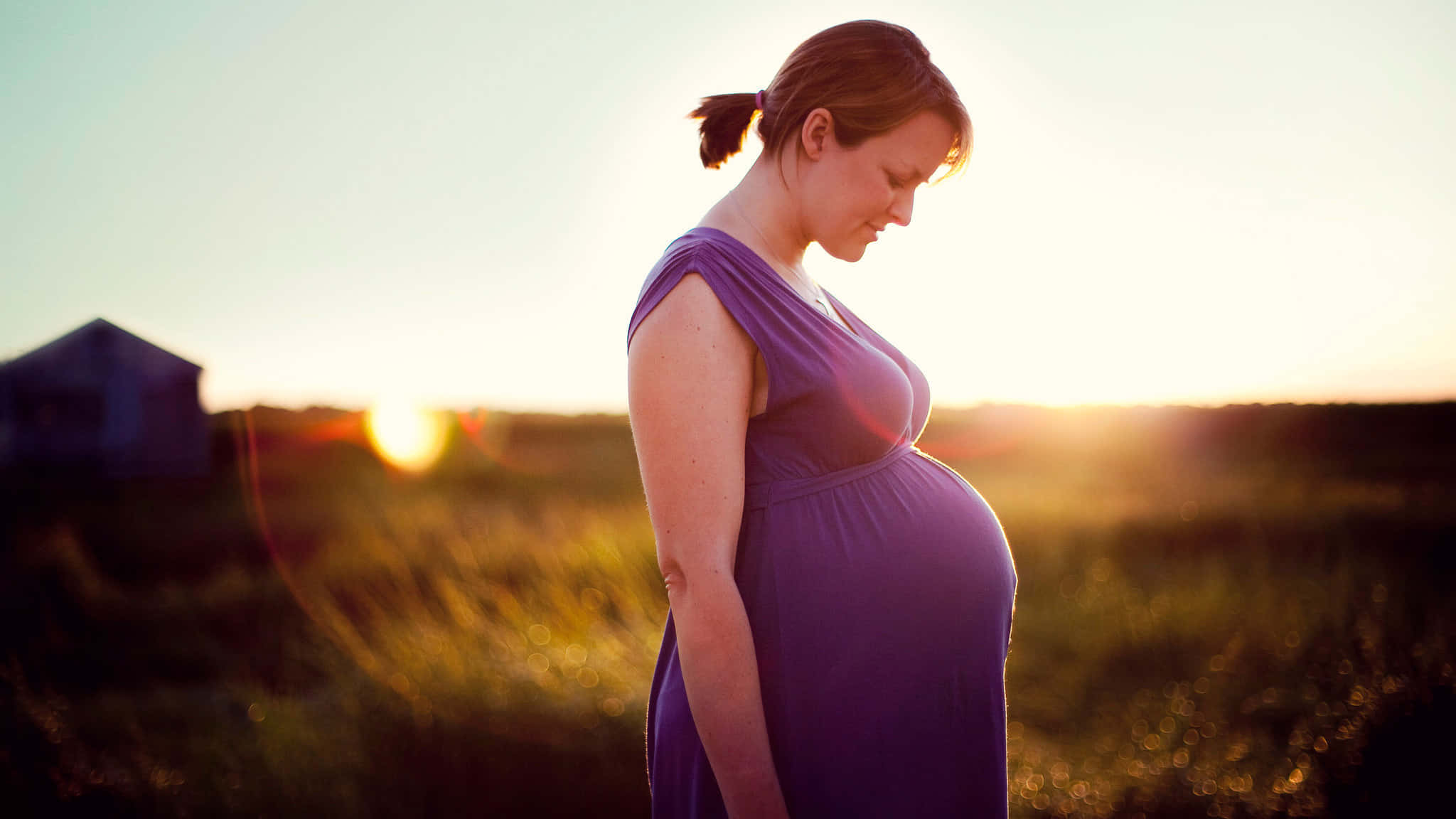 pregnant woman, purple dress, golden field, Full HD Desktop Wallpaper