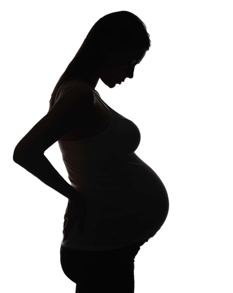 pregnant woman silhouette, profile, bright white background, SD Phone Wallpaper
