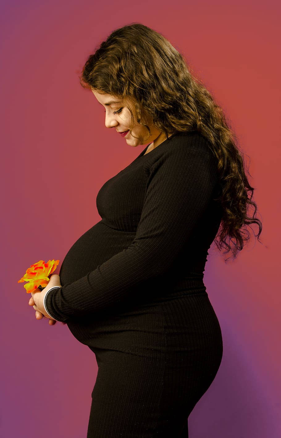 pregnant belly, black ribbed dress, vibrant orange rose, HD Phone Wallpaper
