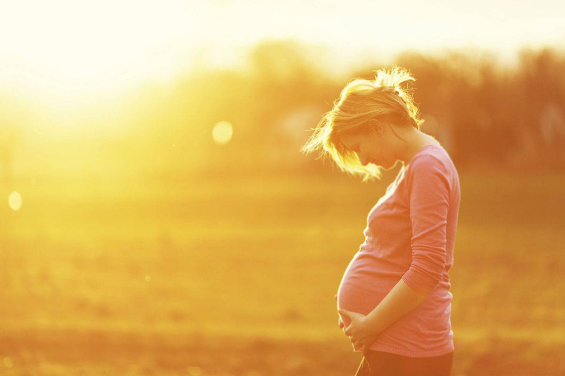 Pregnant Sunrise Photoshoot, sunlit field, golden hour, Full HD Desktop Wallpaper